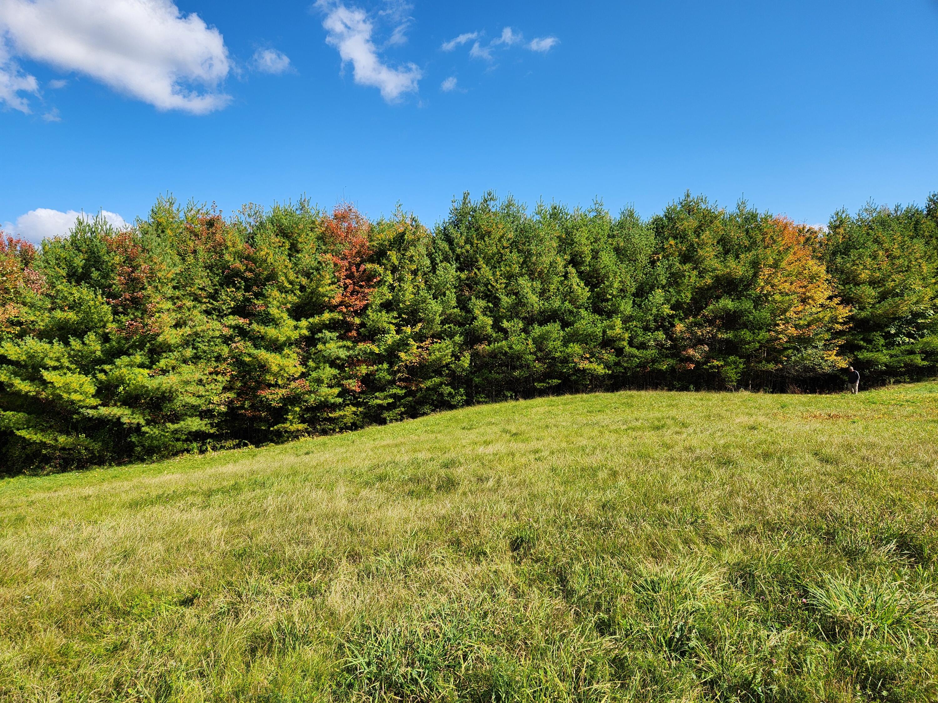 Lot 12 Bear Pond Road, Waterford, ME, 04088