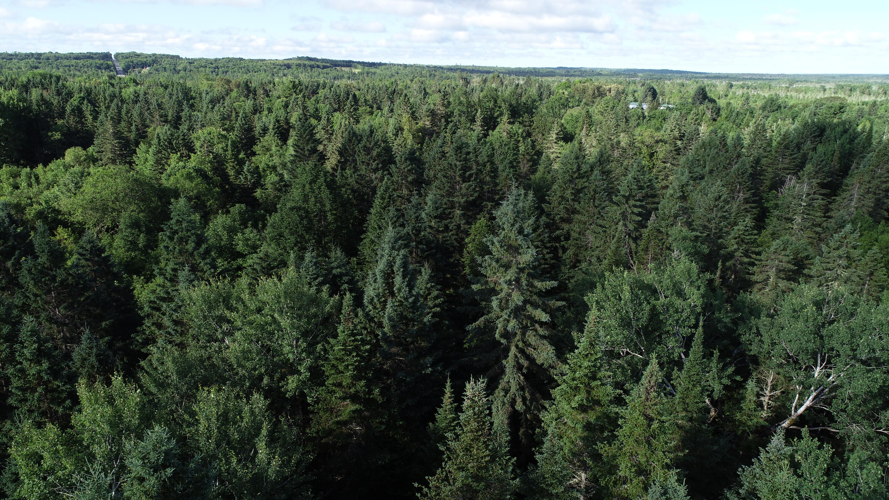 Lot 27 Brewer Road, Cary Plt, ME, 04471