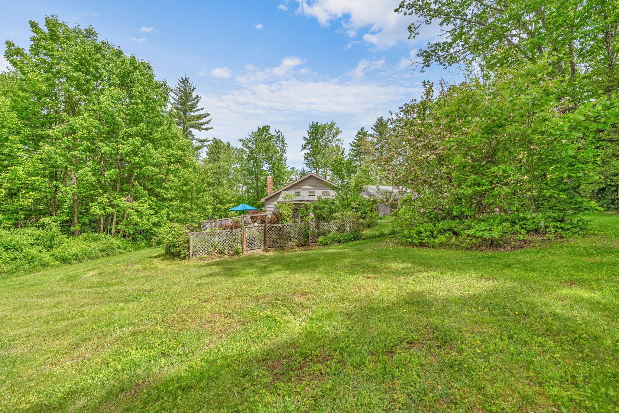 21-web-or-mls-15-raspberry-rd
