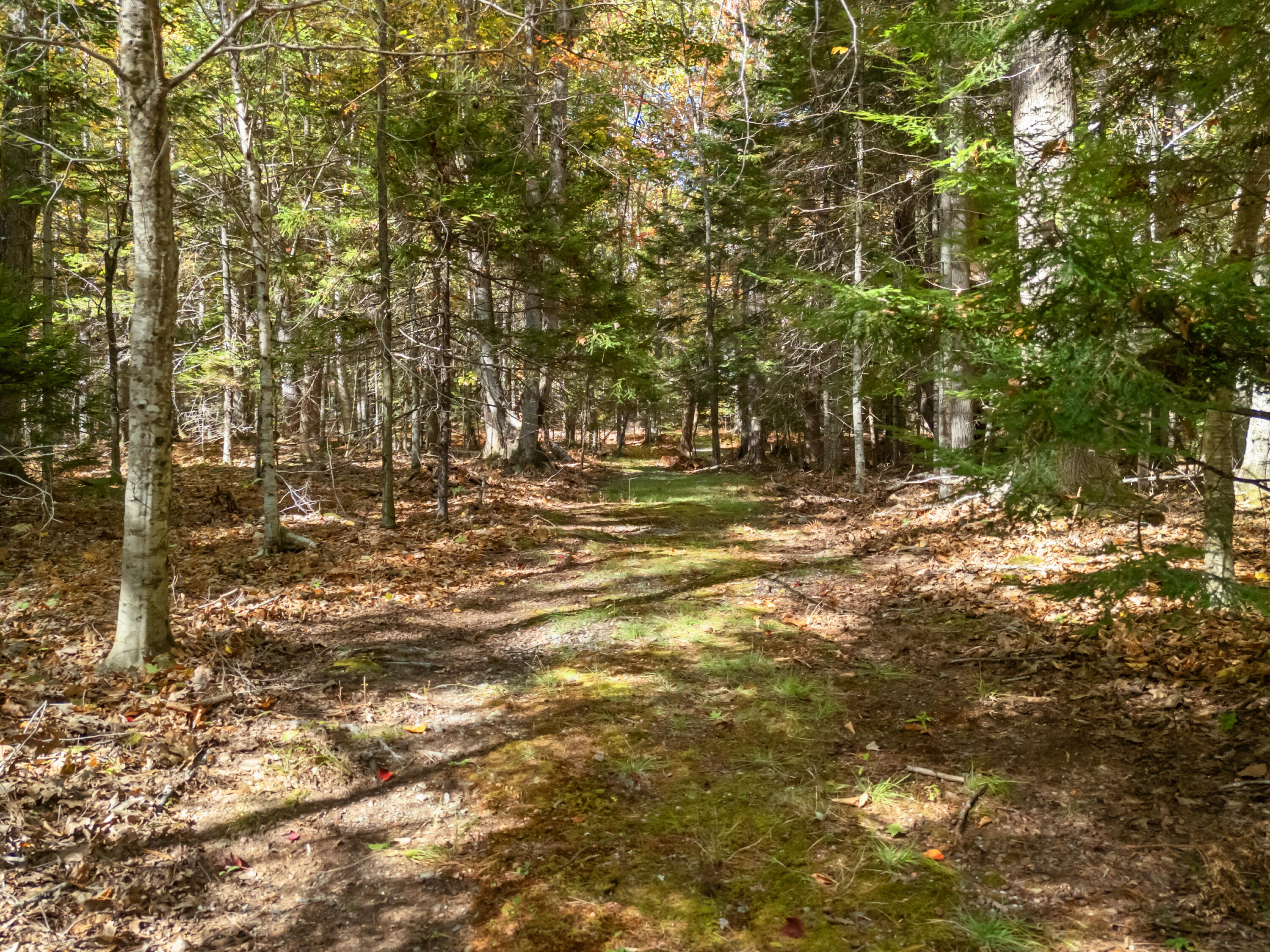 13 Hemlock Drive, Lincolnville, ME, 04849