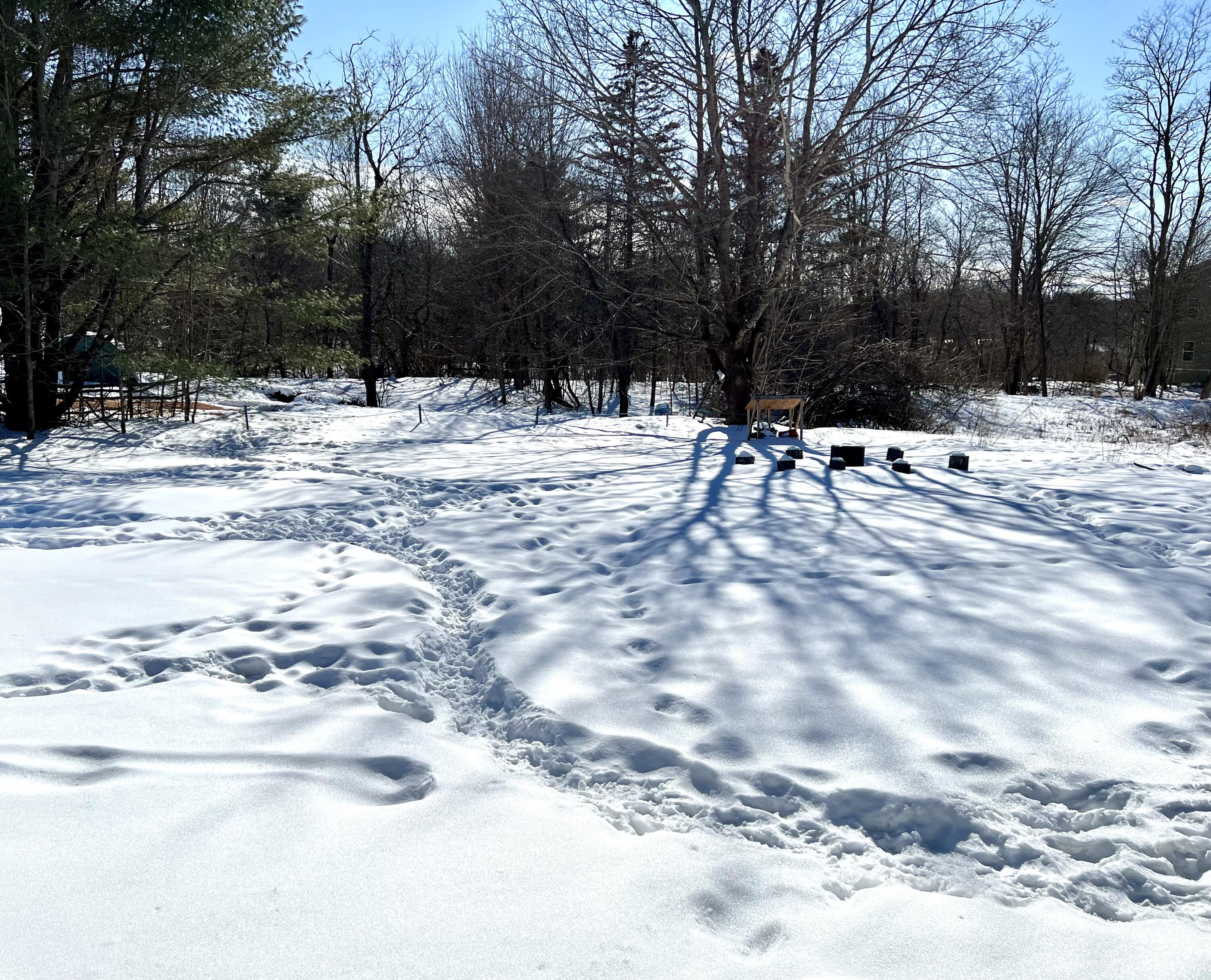 51 Washington Street, Ellsworth, ME, 04605