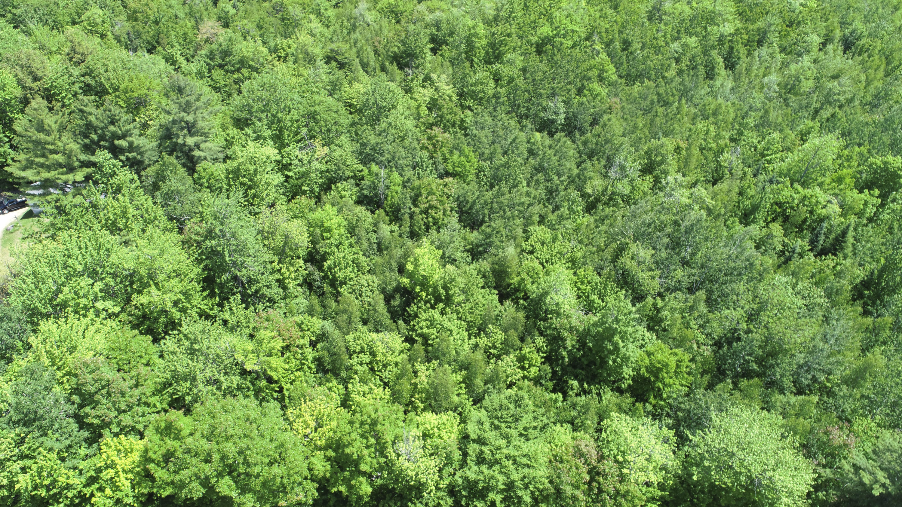 Lot 1 Harbor Road, Woodstock, ME, 04219