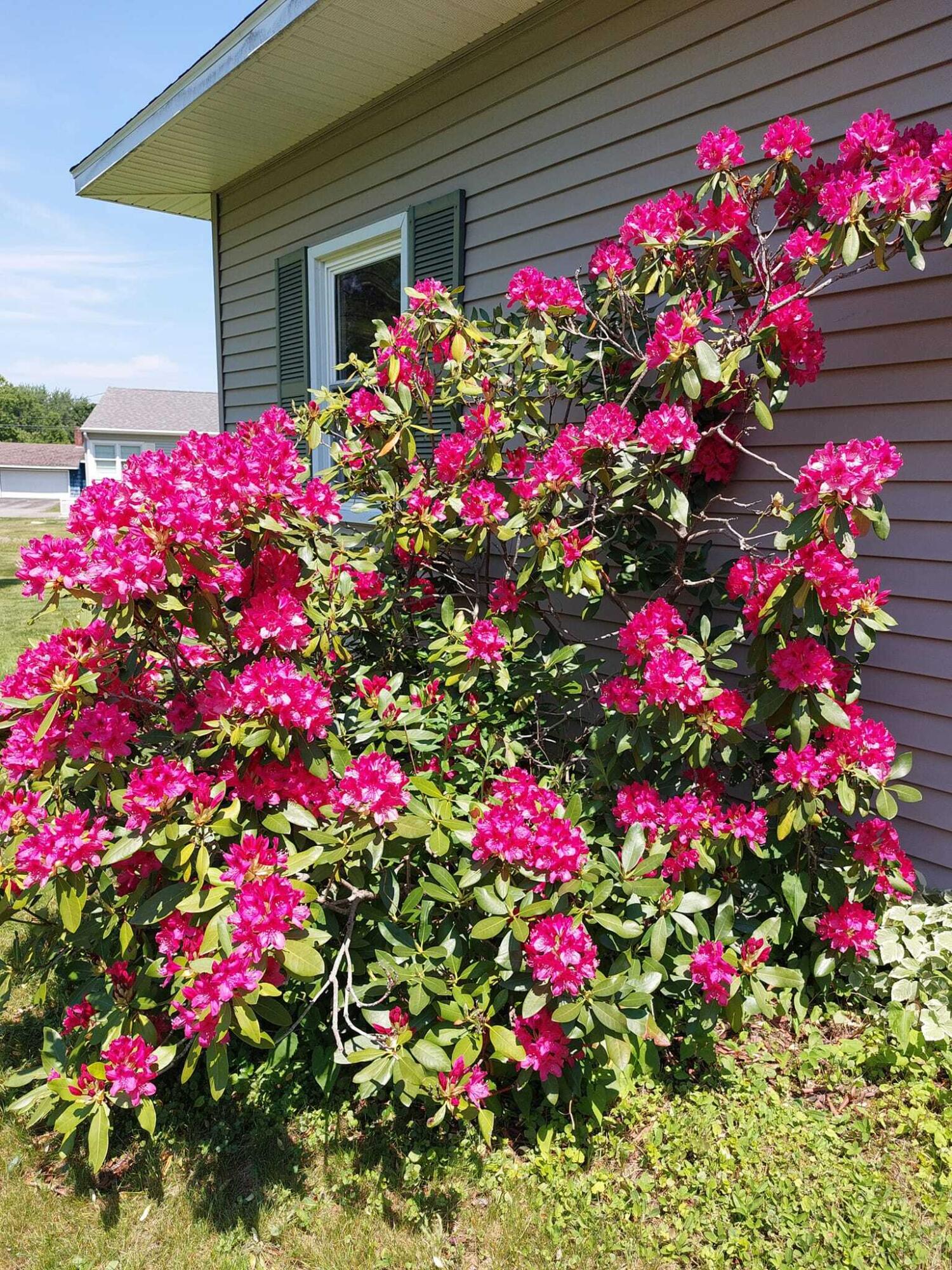 9 Longmeadow Drive, Brewer, ME, 04412