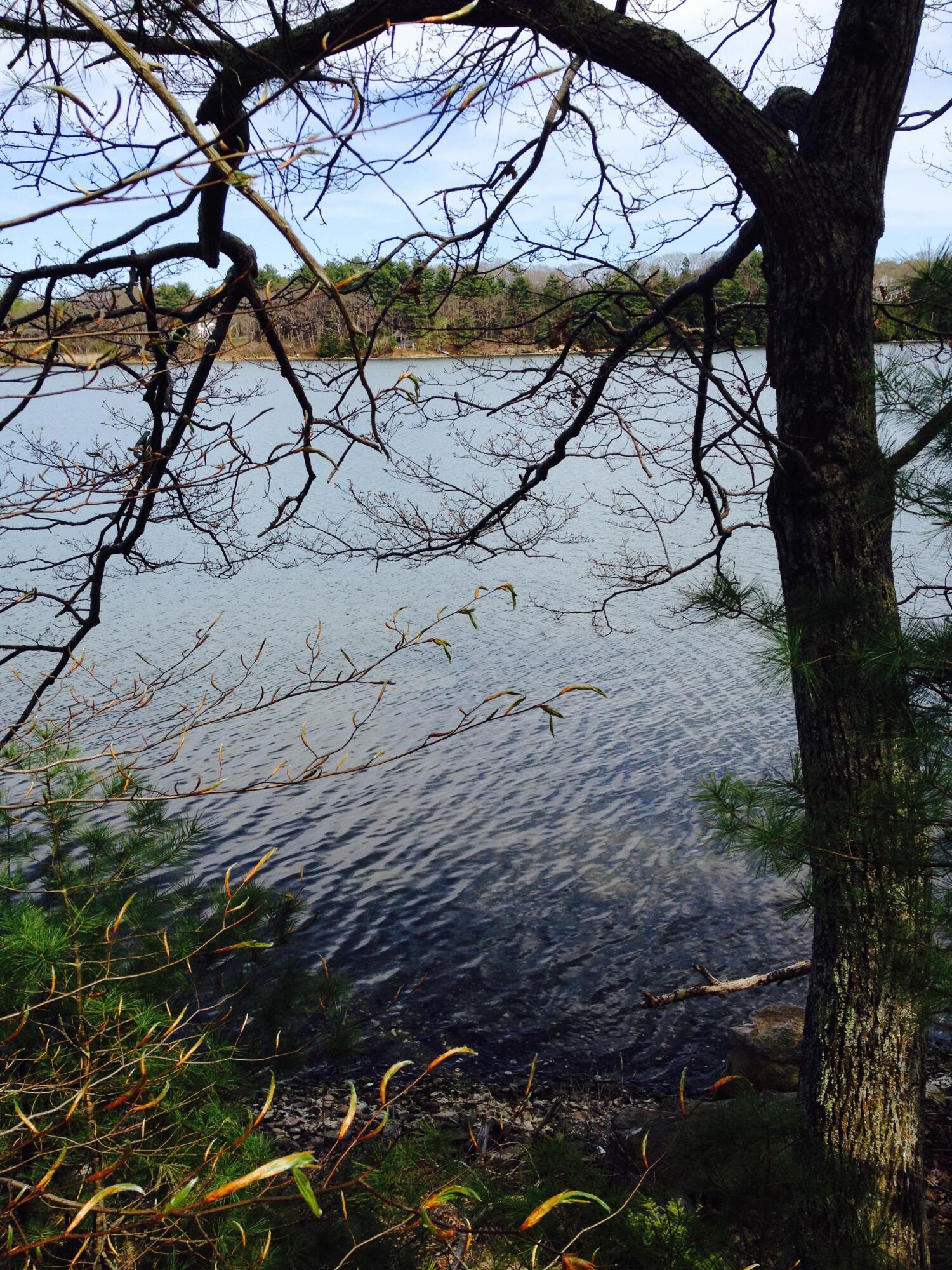 0 Peterson Lane, Brunswick, ME, 04011