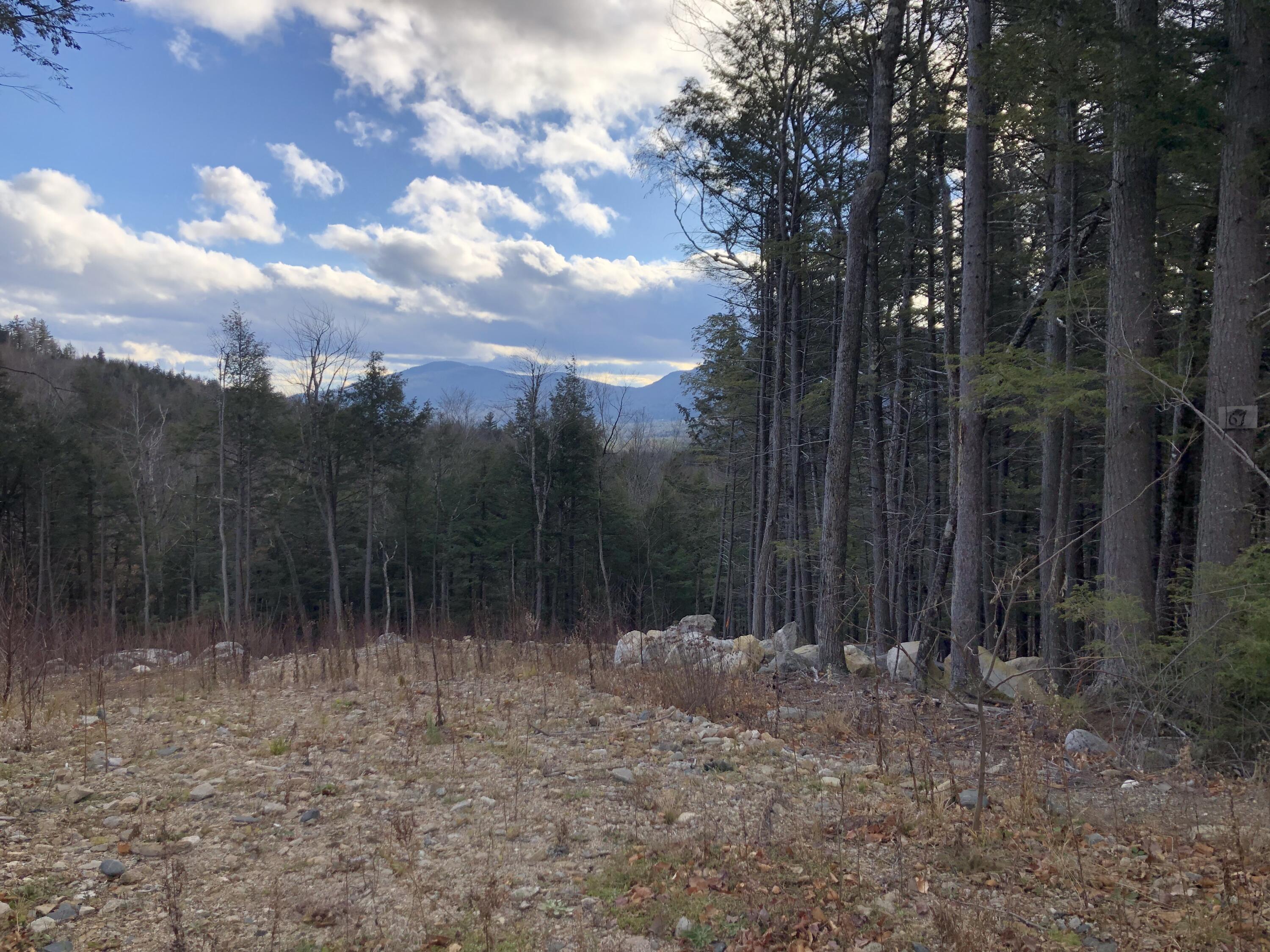 Lot 67 Snowbird Lane, Newry, ME, 04261