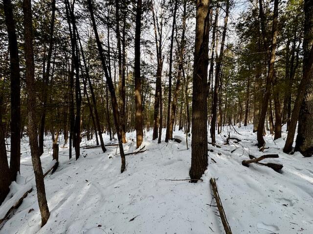 M9 L29  N Beckwith Road, Cornville, ME, 04976