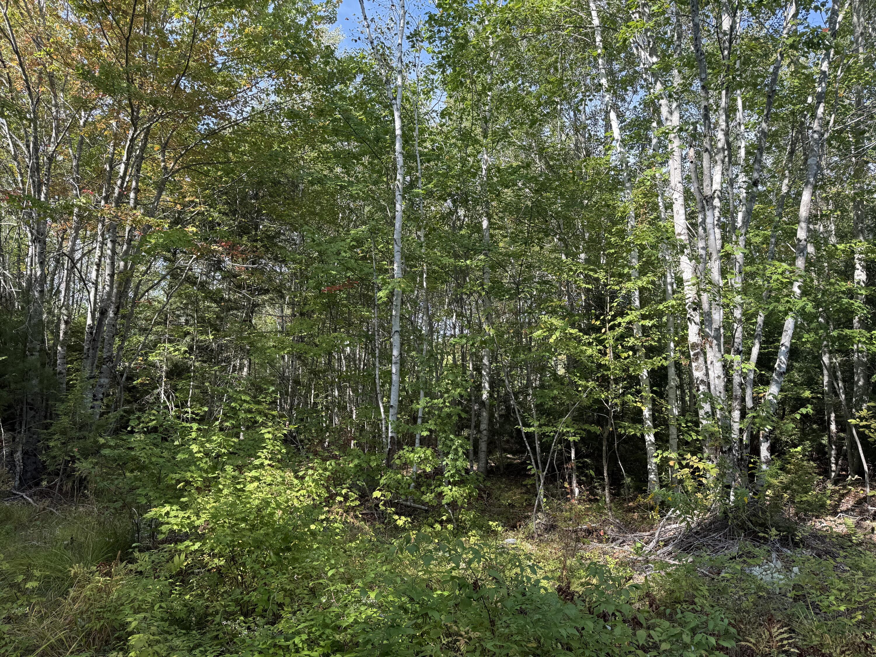 15 Moose Trail Drive, Waltham, ME, 04605