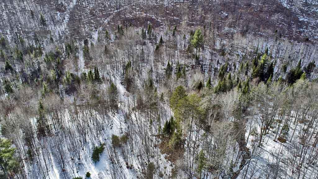 Lot 11 Drews Mill Road, Linneus, ME, 04730