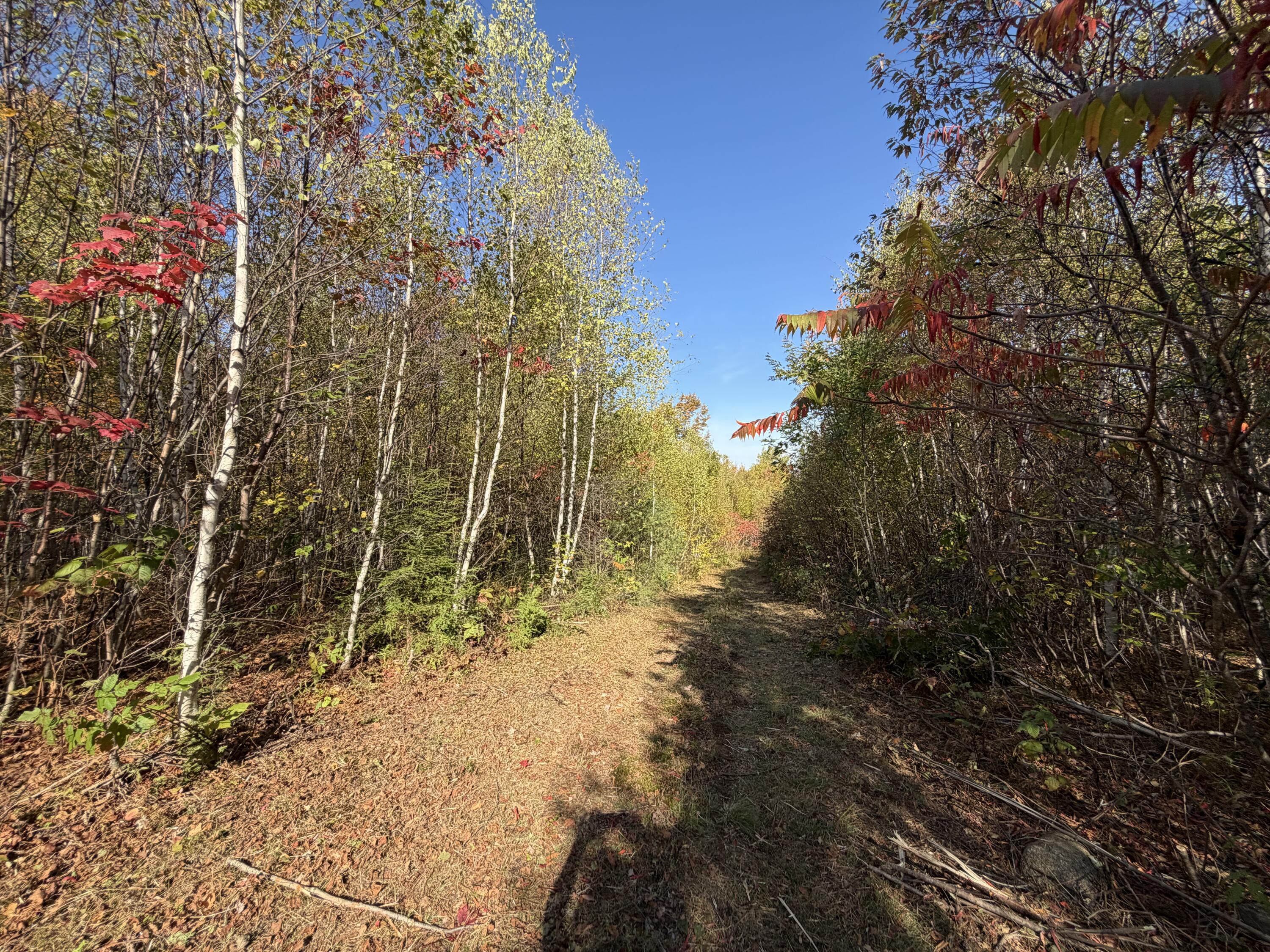 Off Lord Brook Road, Grand Falls Twp, ME, 04418