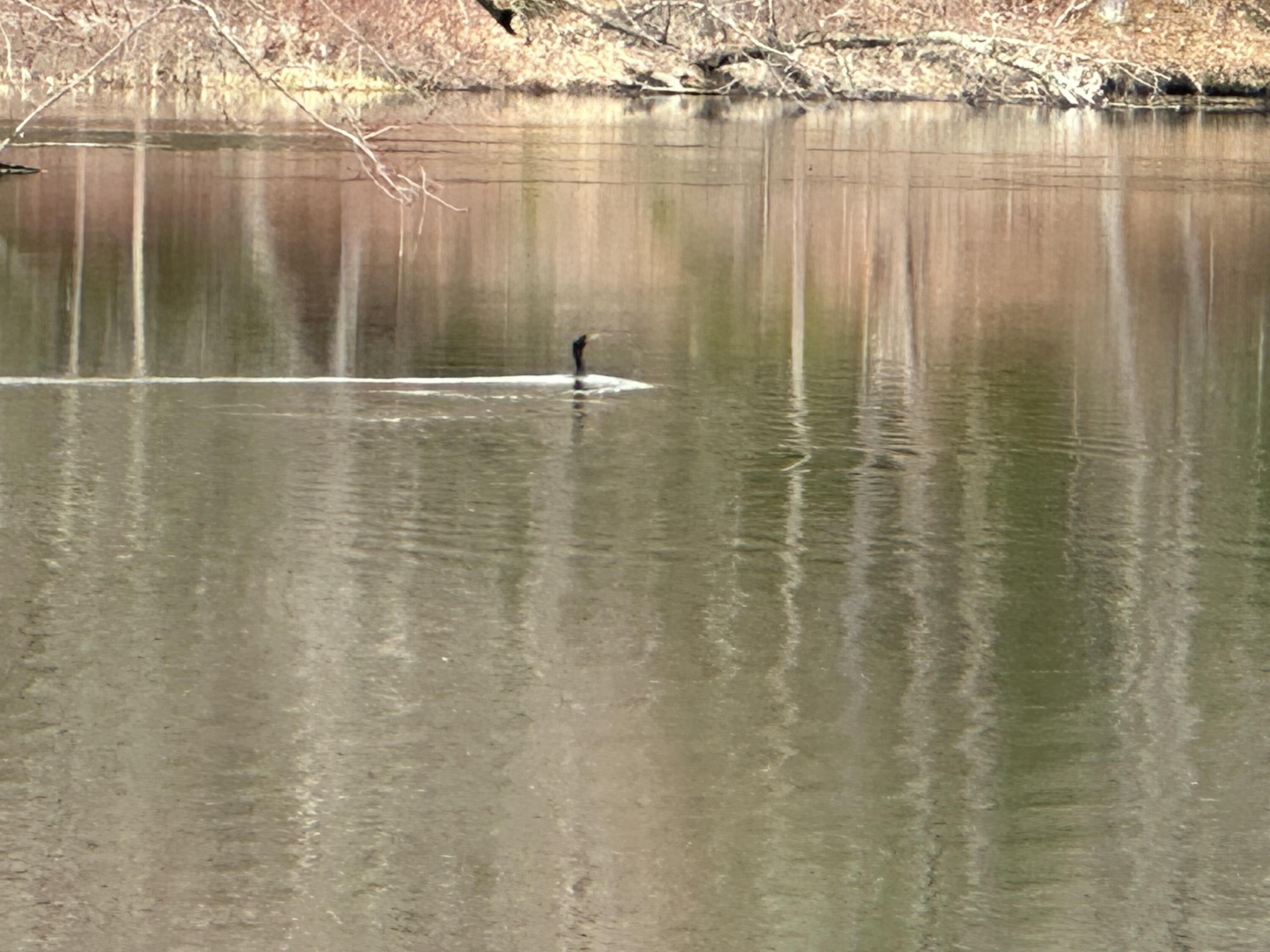 60 Mechanic Falls Road, Poland, ME, 04274