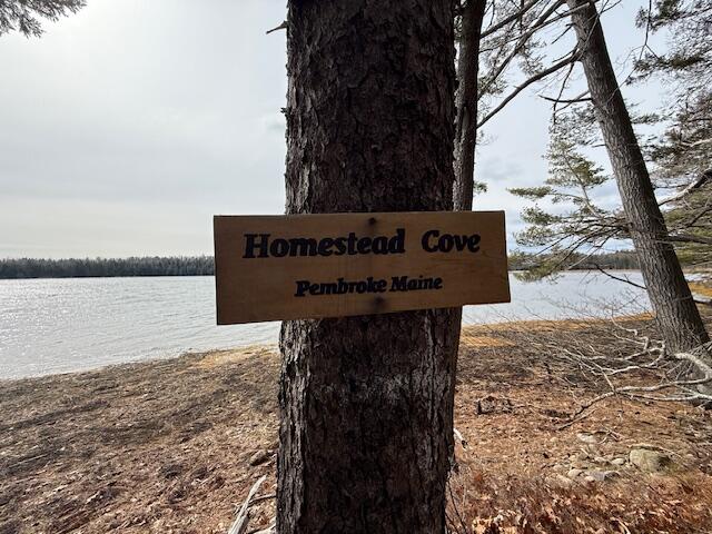 203 Garnet Head Road, Pembroke, ME, 04666