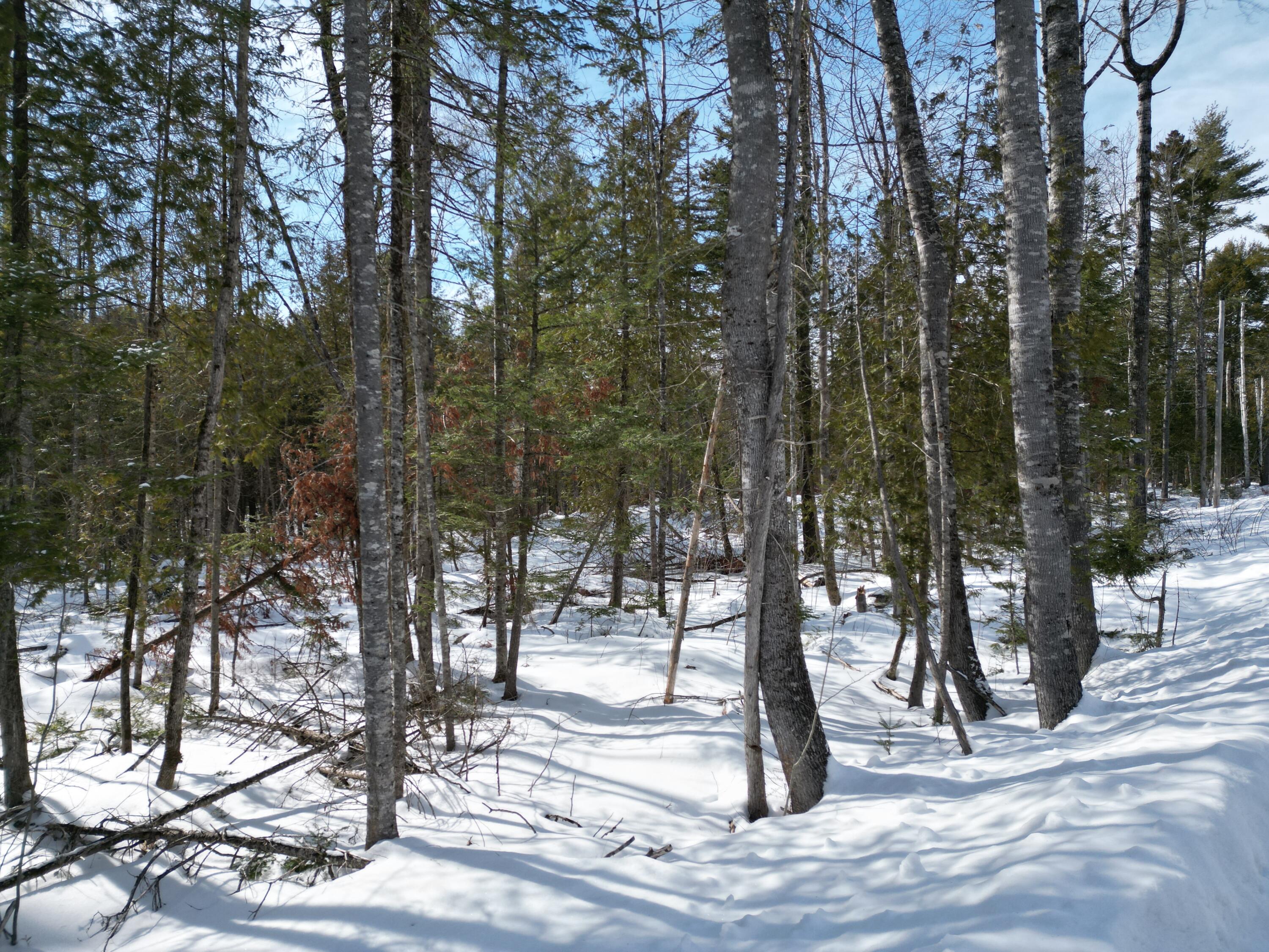 8 Twin Springs Lane, Lincoln, ME, 04457