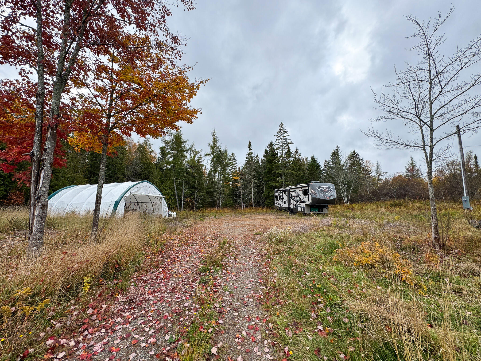 M3L19 Off Cross Road, Dennysville, ME, 04628