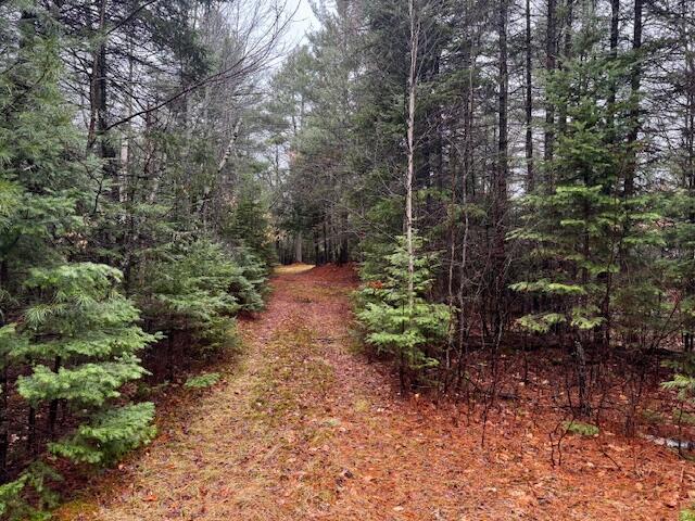 SO 001 Plan 2 Lot 16.1 Long Falls Dam Road, Lexington Twp, ME, 04961