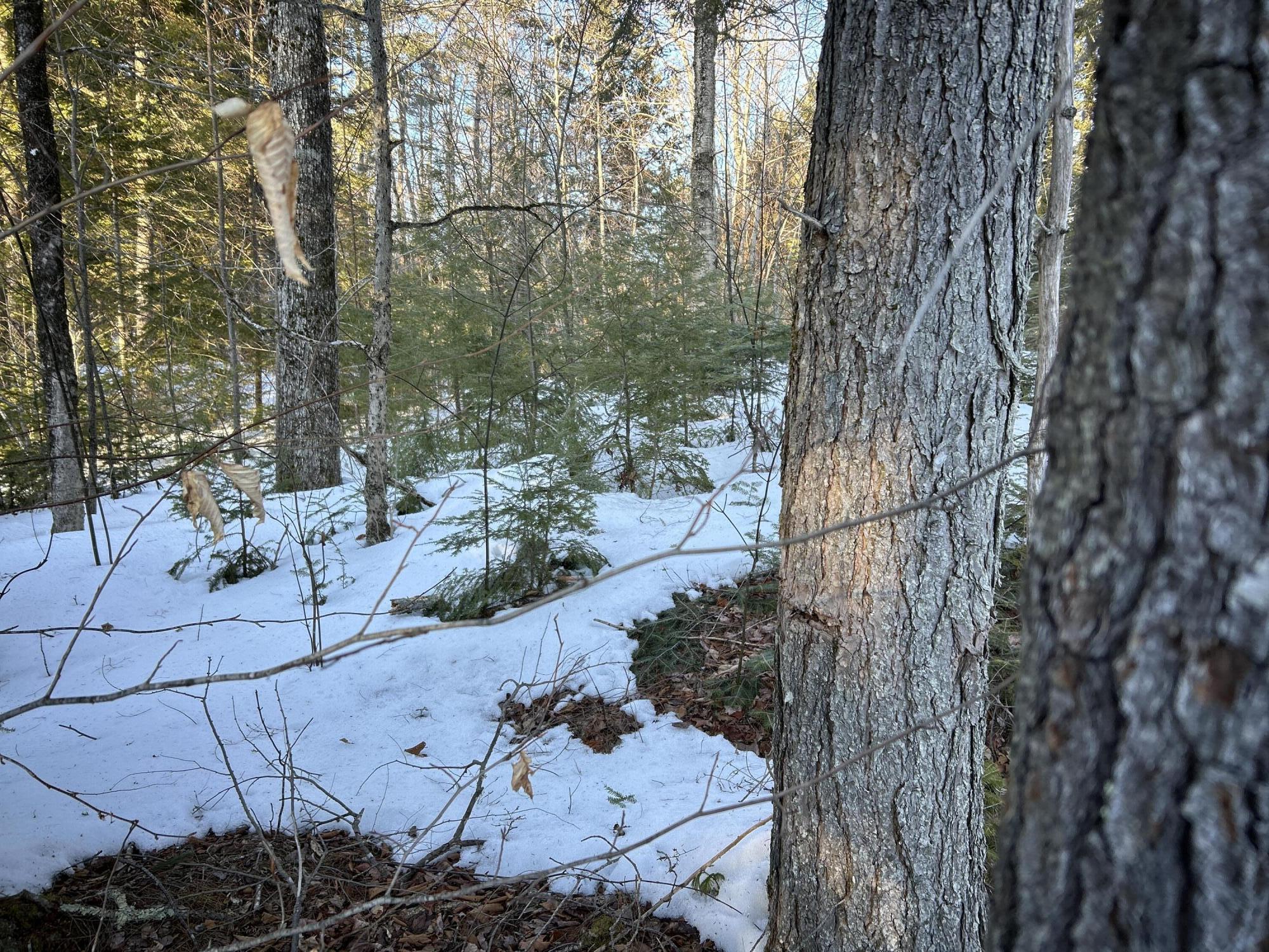 M7L22 Nelson Ridge Road N, Washington, ME, 04574