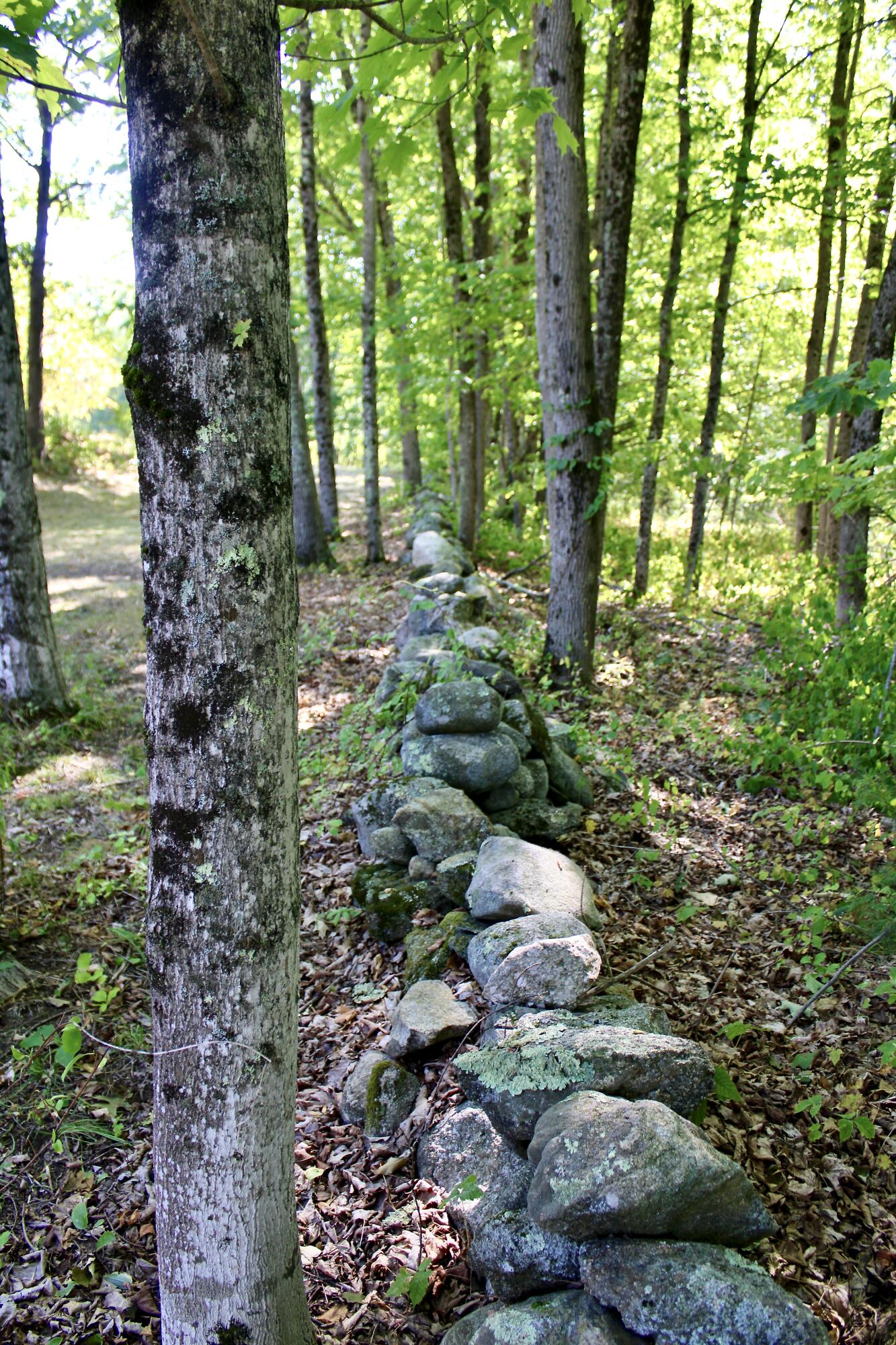 850 Lawrence Road, Pownal, ME, 04069