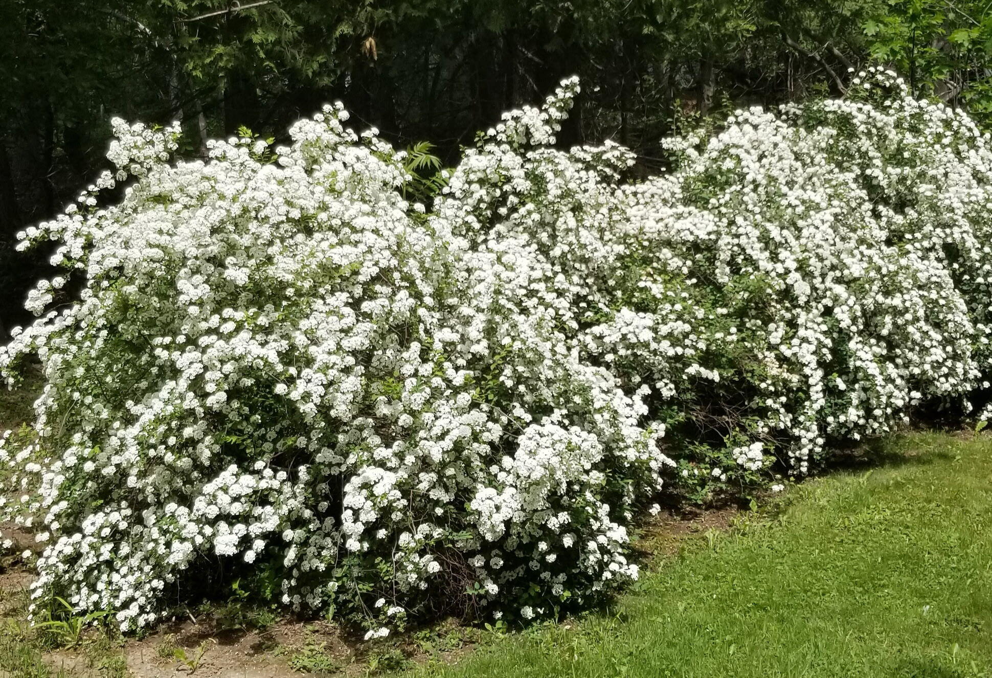 1522 Pushaw Road, Glenburn, ME, 04401