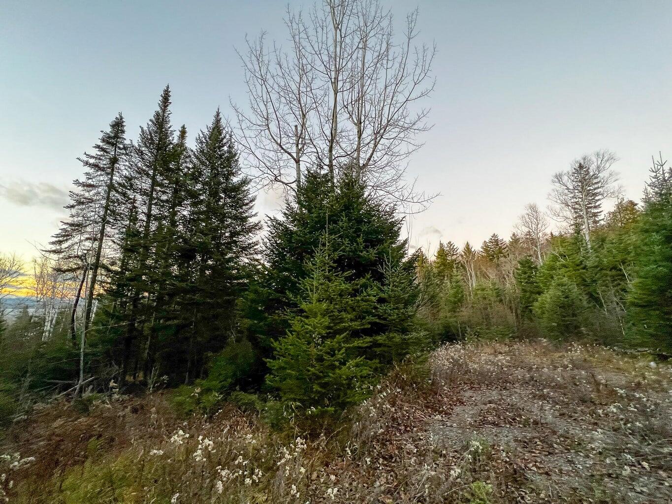 Lot 16 Mill Brook Road, Sandy River Plt, ME, 04970