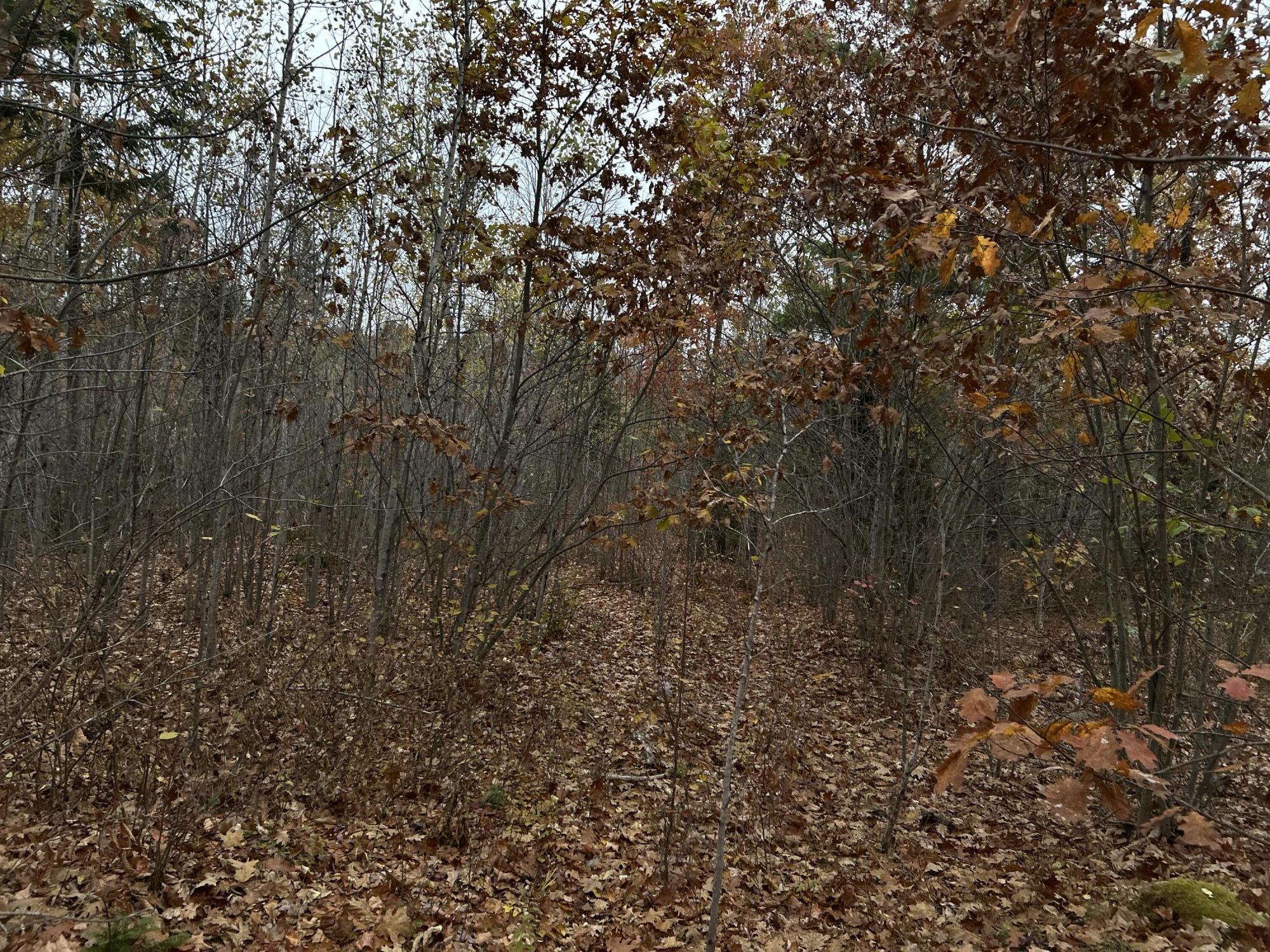 M4L18 Bog Road, Jackson, ME, 04921