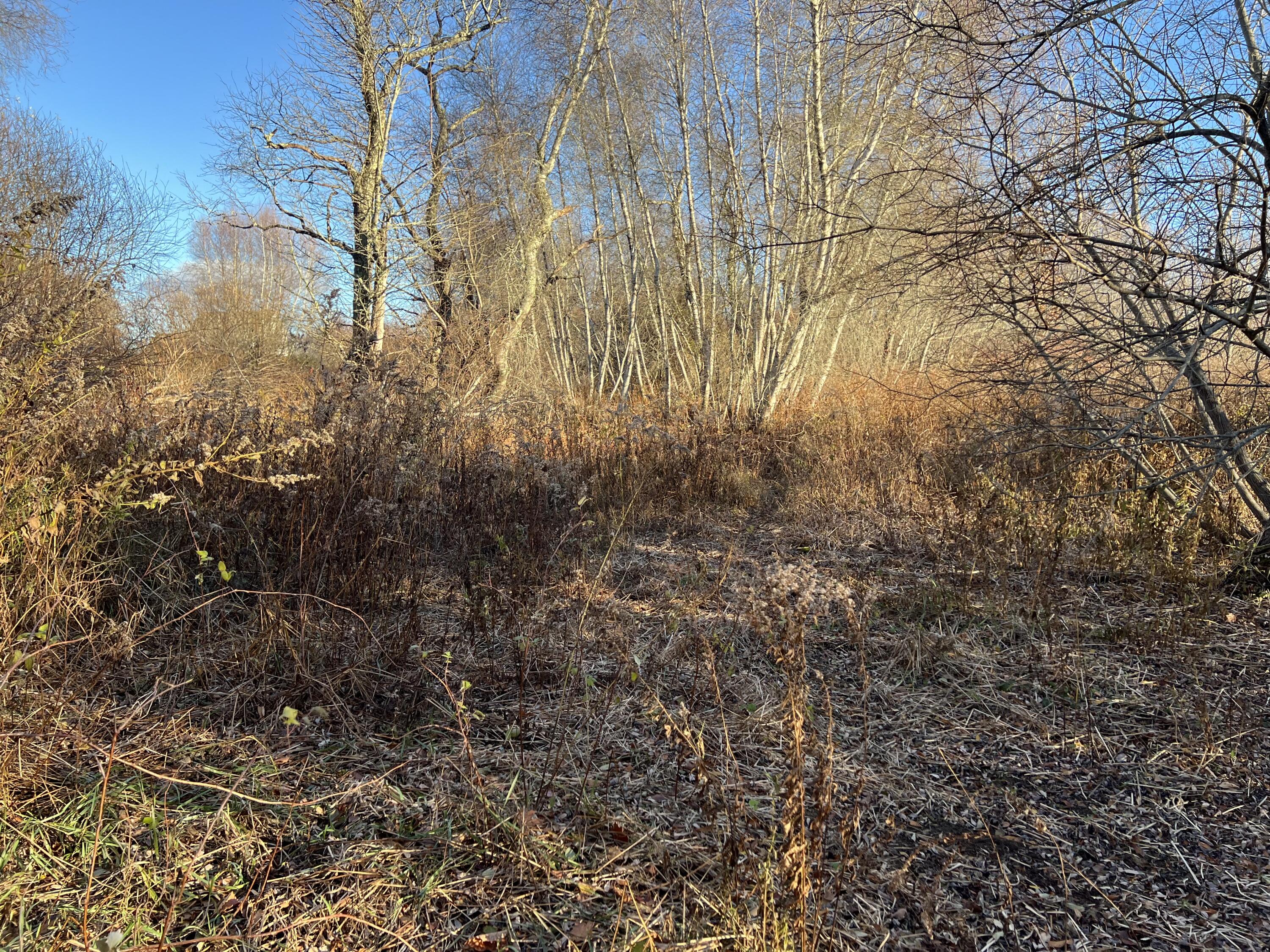 Lot UNIT&nbsp;B Winding Way, Rockport, ME, 04856