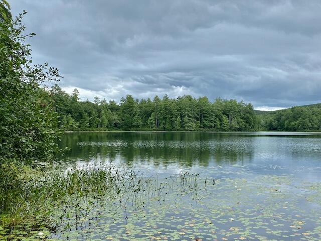 00 Brownfield Road, Hiram, ME, 04041