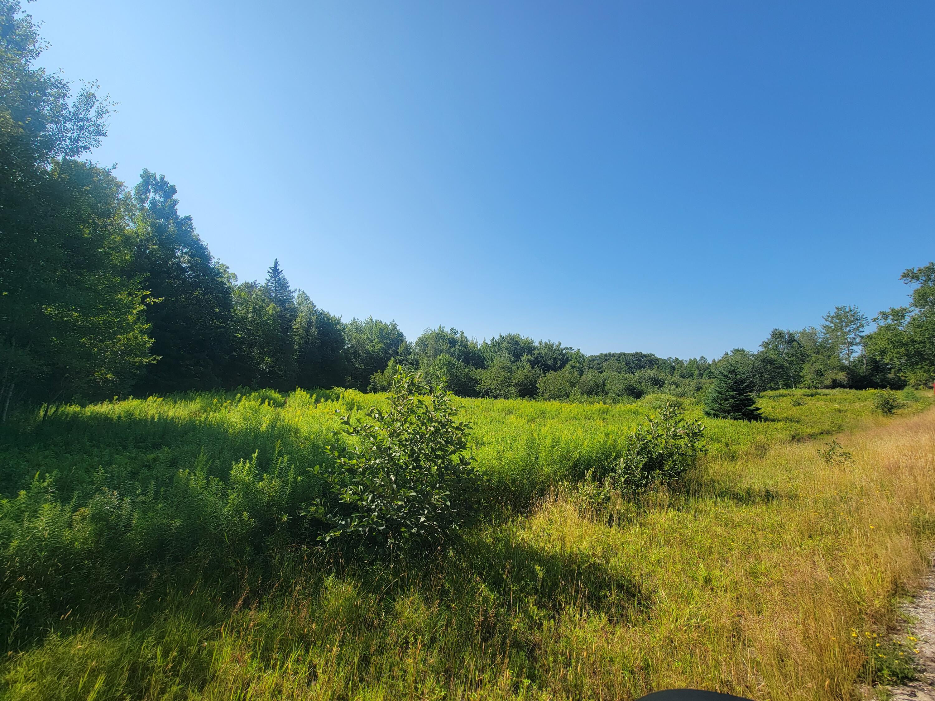 property-listing-images