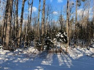 Lot 045 Sawyer Notch Road, Andover, ME, 04216