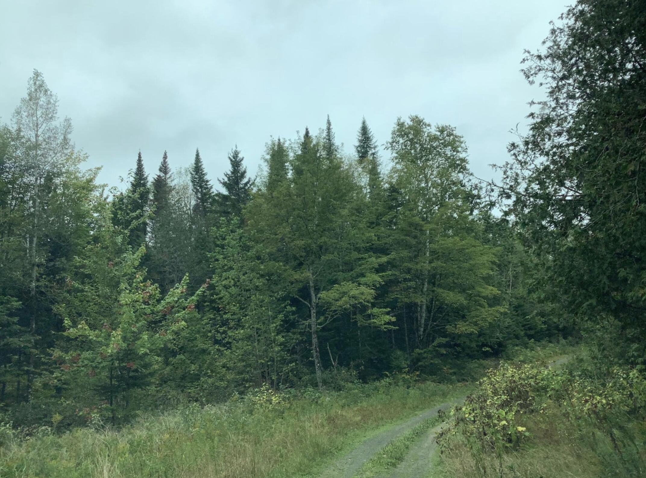 3 Abel Cyr Road, Cyr Plt, ME, 04785