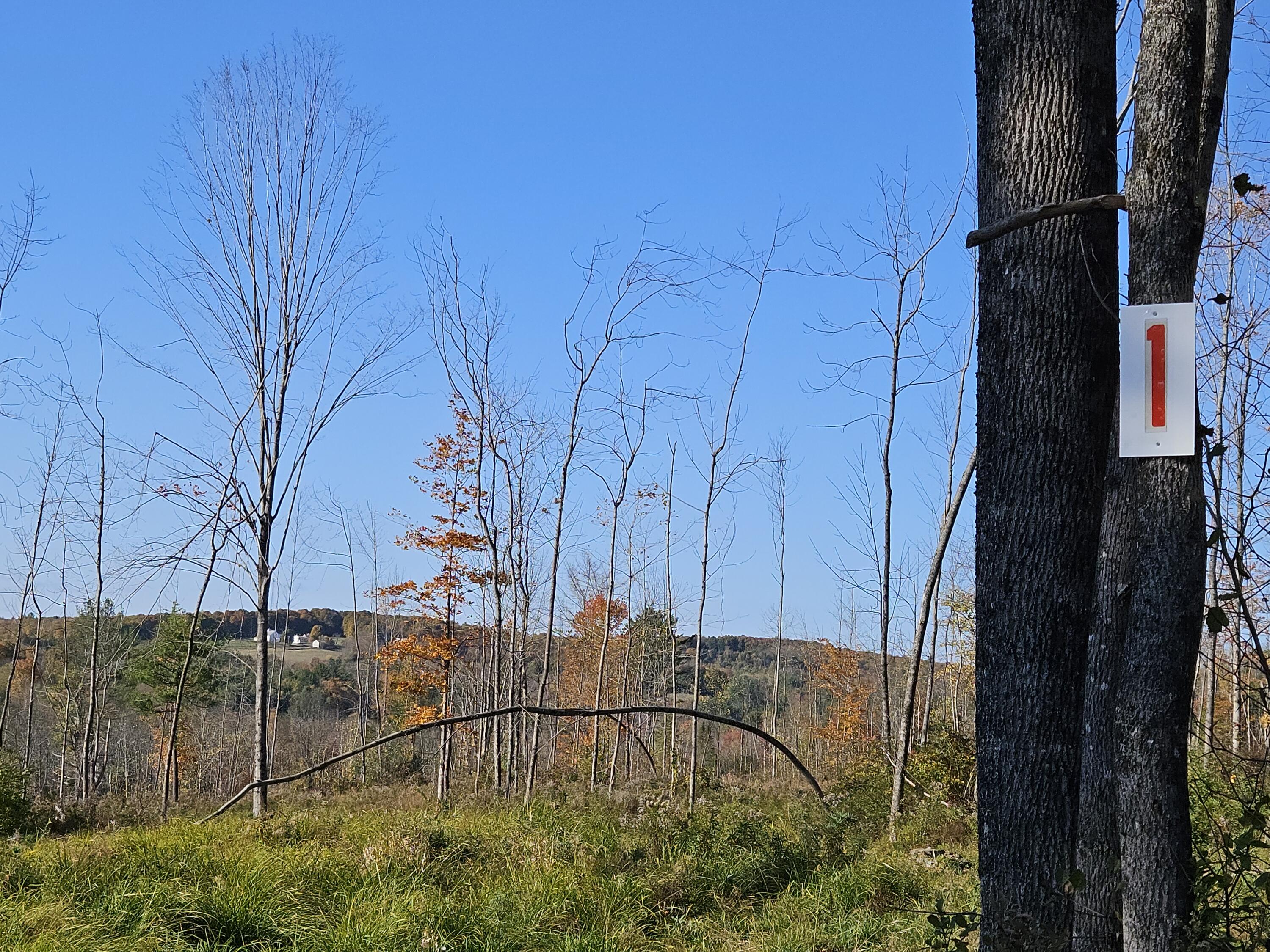 R11-033-1 Bailey Hill Road, Farmington, ME, 04938