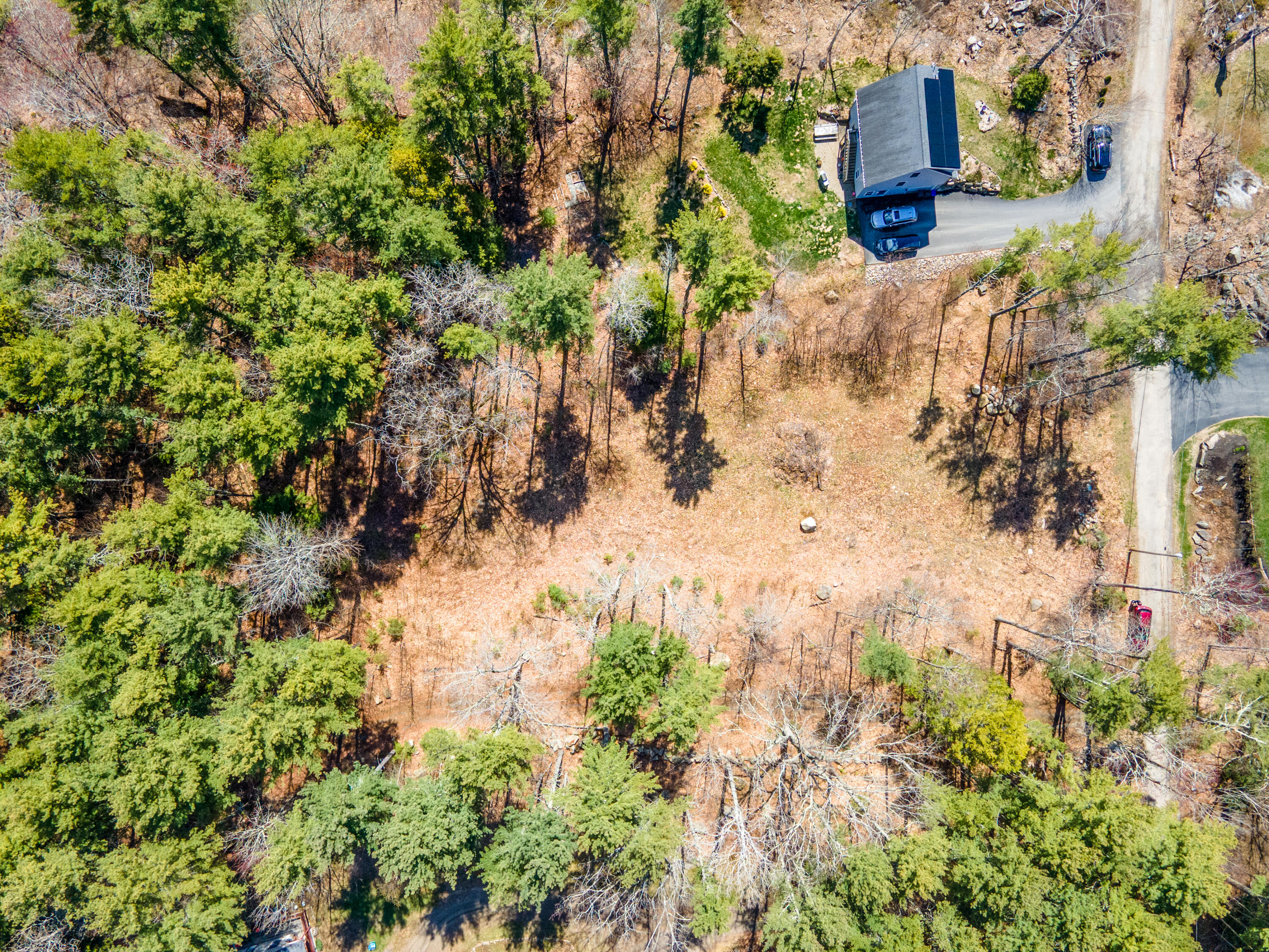 Search Homes for Sale