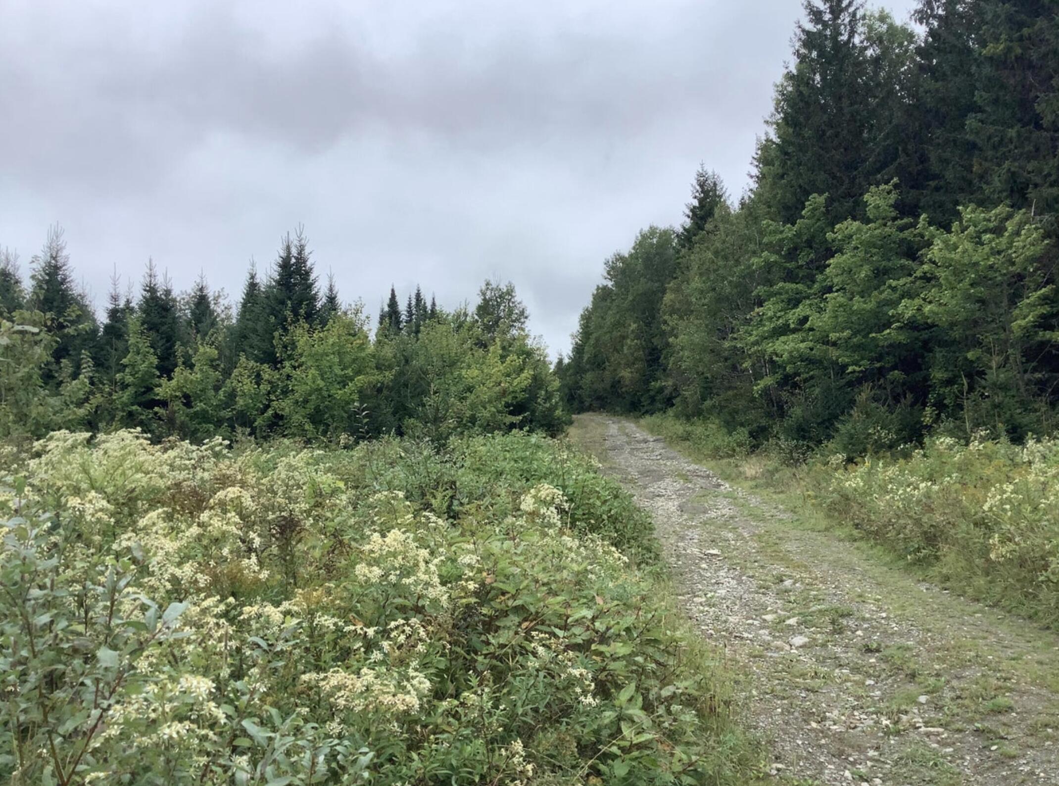 3 Abel Cyr Road, Cyr Plt, ME, 04785