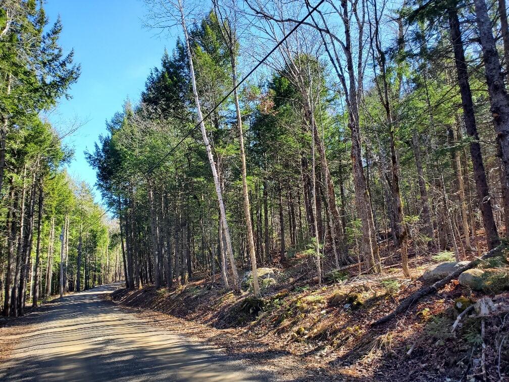 0 Sandy Beach Road, Danforth, ME, 04424