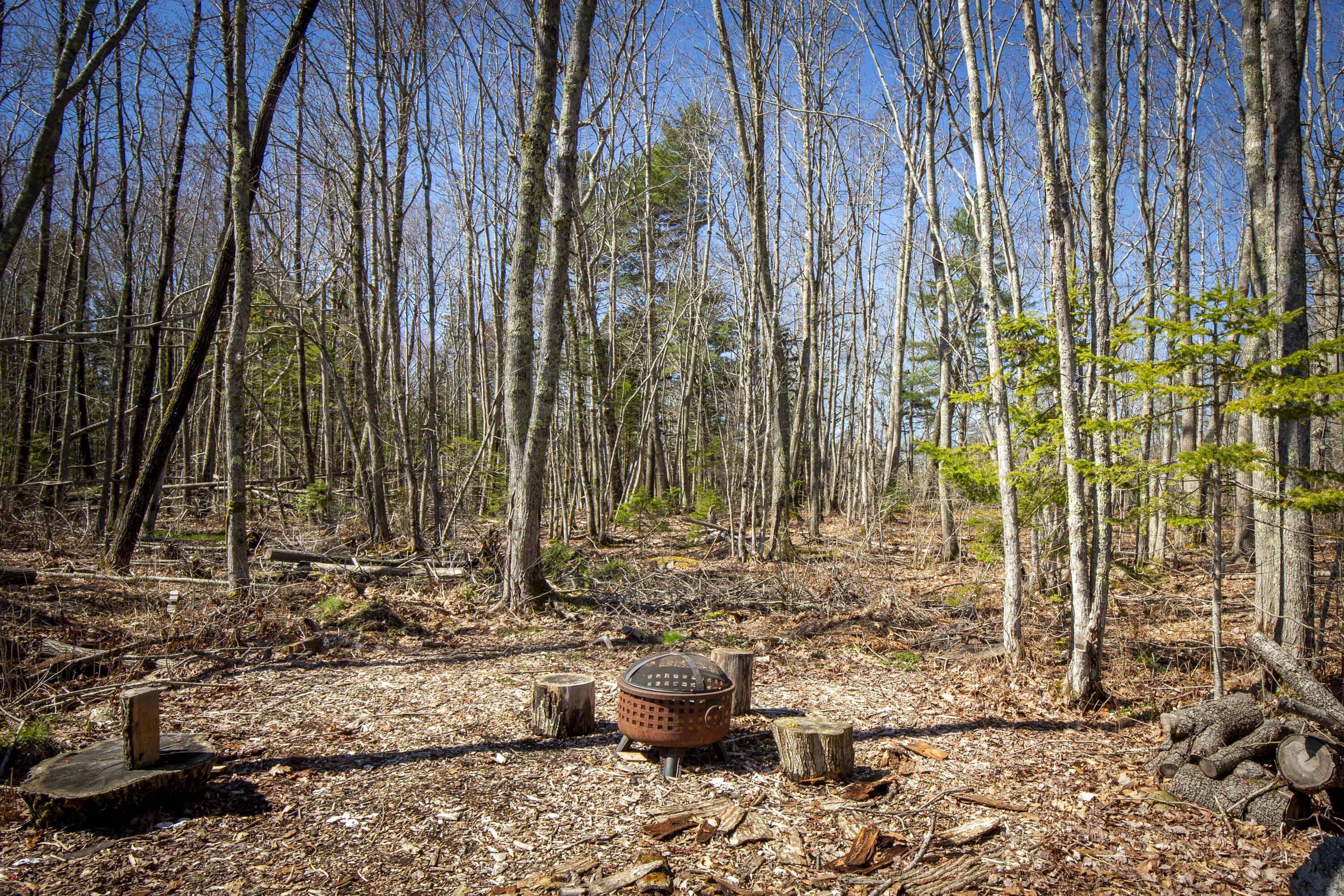 29 Oak Run, Owls Head, ME, 04854 29 Oak Run, Owls Head, ME, 04854