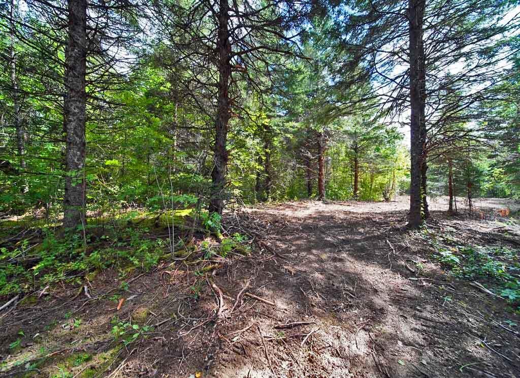 Lot 27 Brewer Road, Cary Plt, ME, 04471