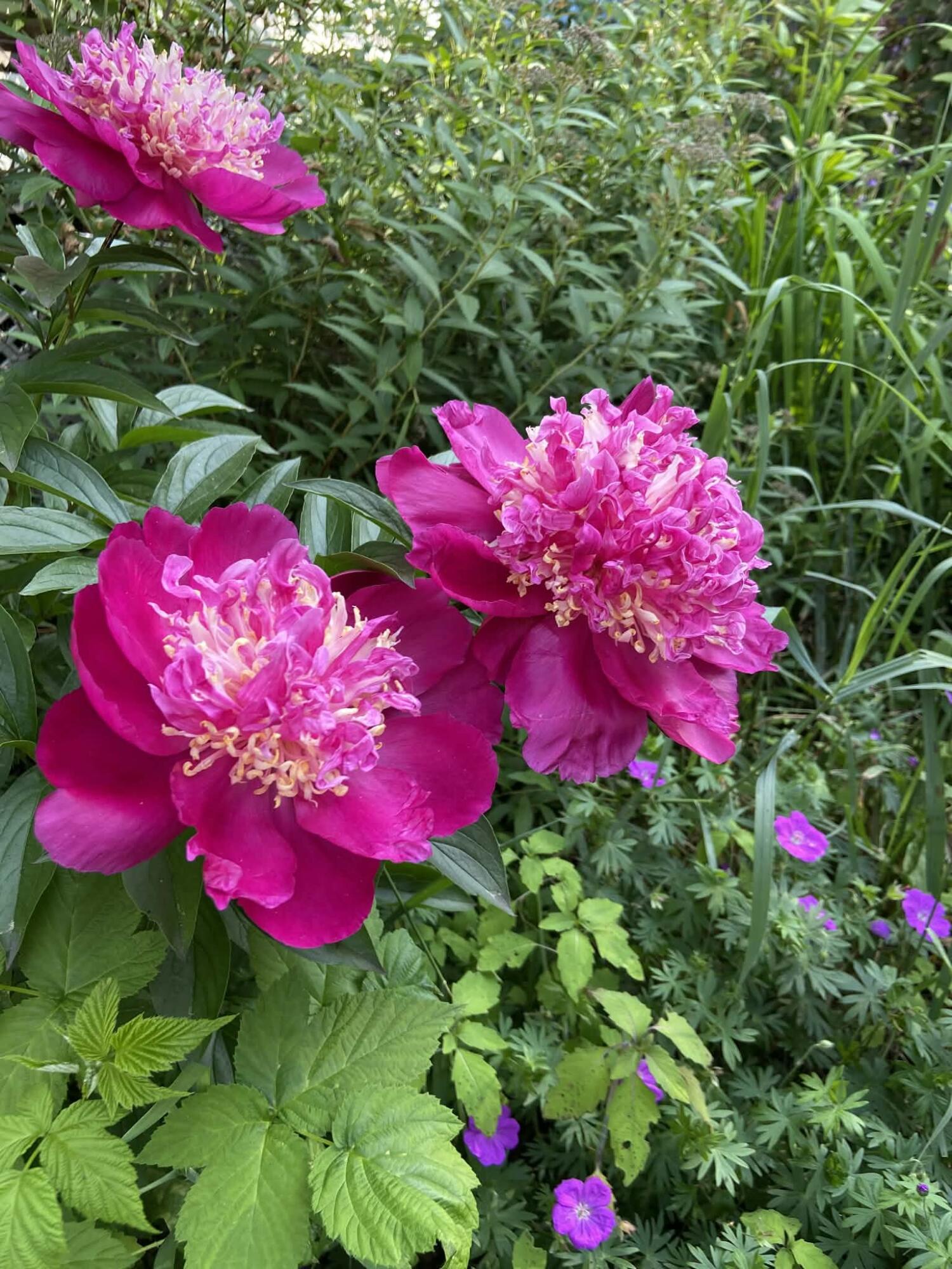 27 Turner Street, Buckfield, ME, 04220