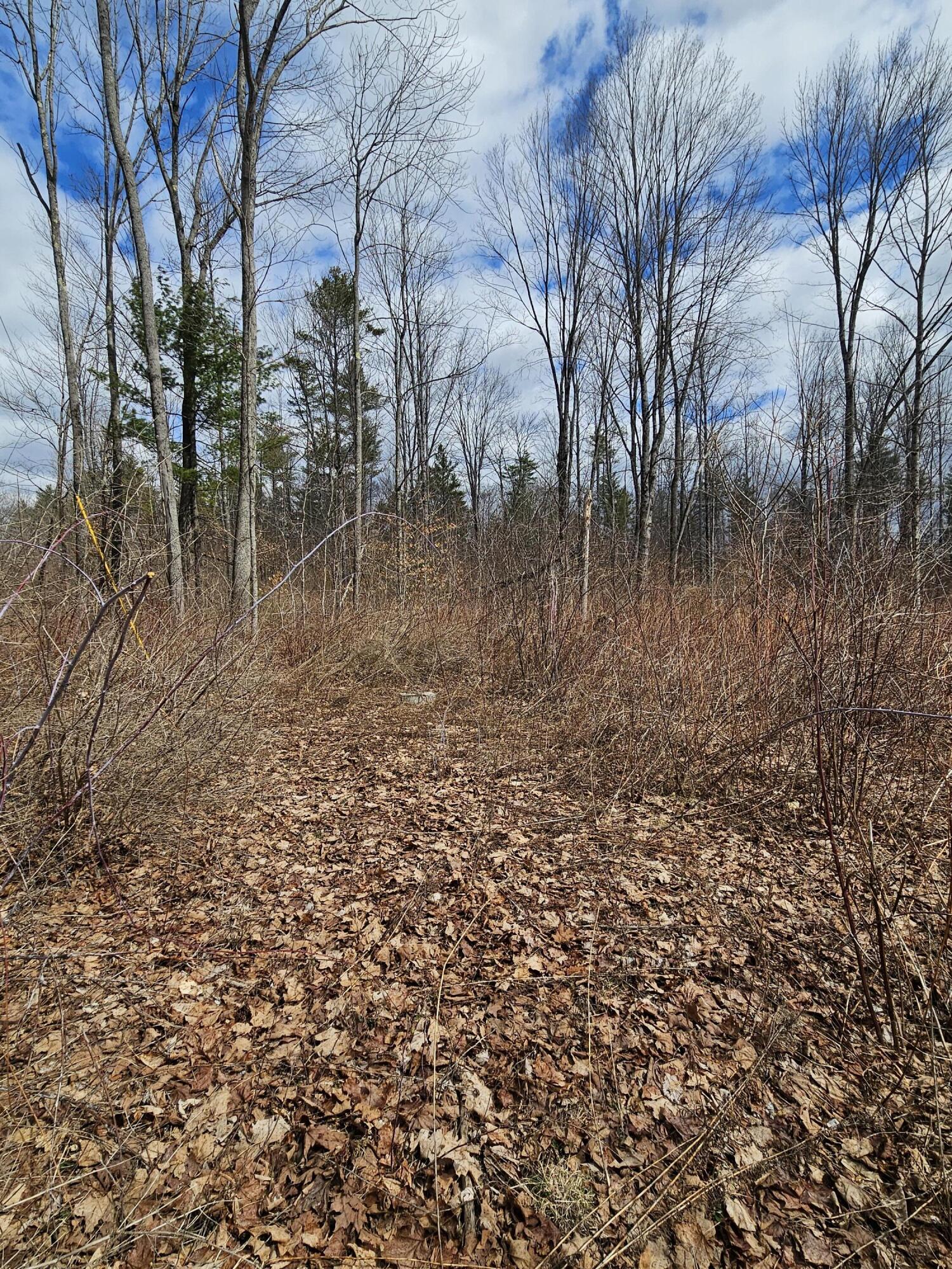 Lot 113-2 Cushman Road, Winslow, ME, 04901
