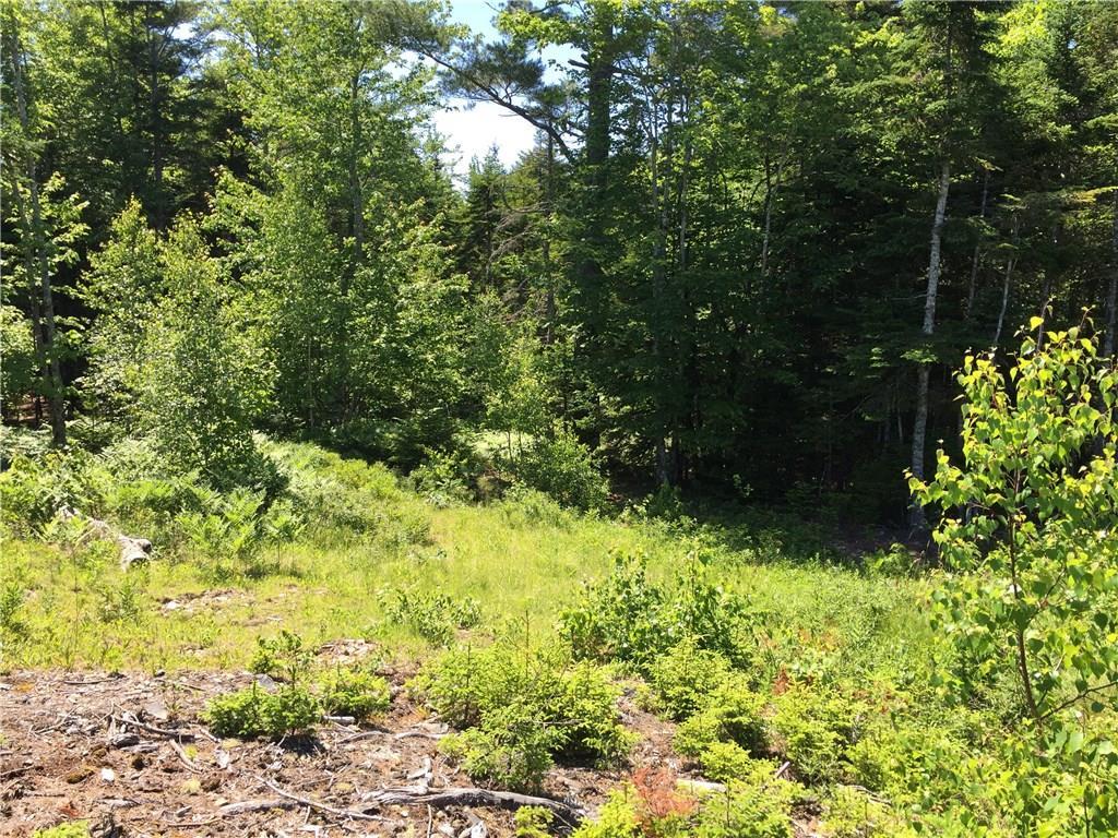 65 Lookout Mountain Road, East Machias, ME, 04630
