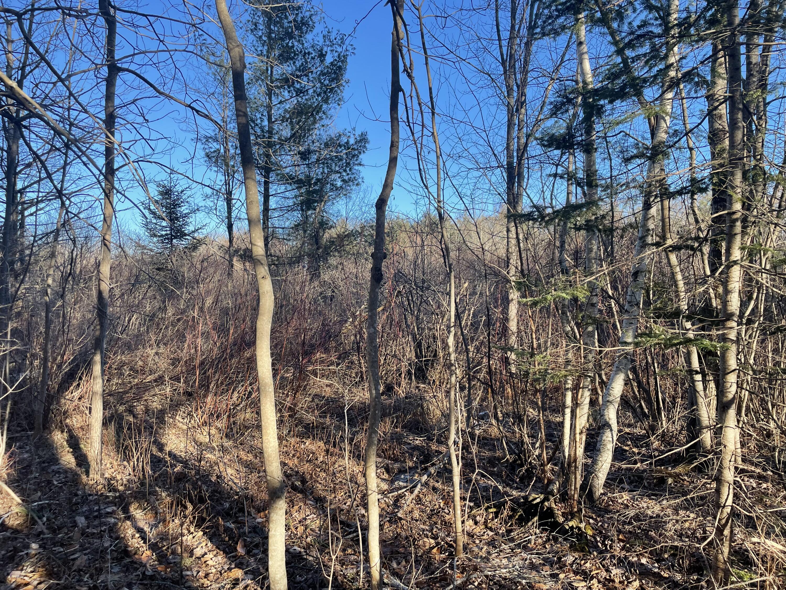 0 Cross Street, Manchester, ME, 04351