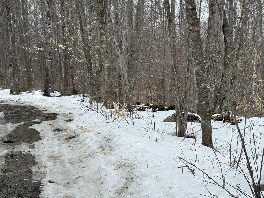 Lot 005 Greenwood Brook Road, Industry, ME, 04938