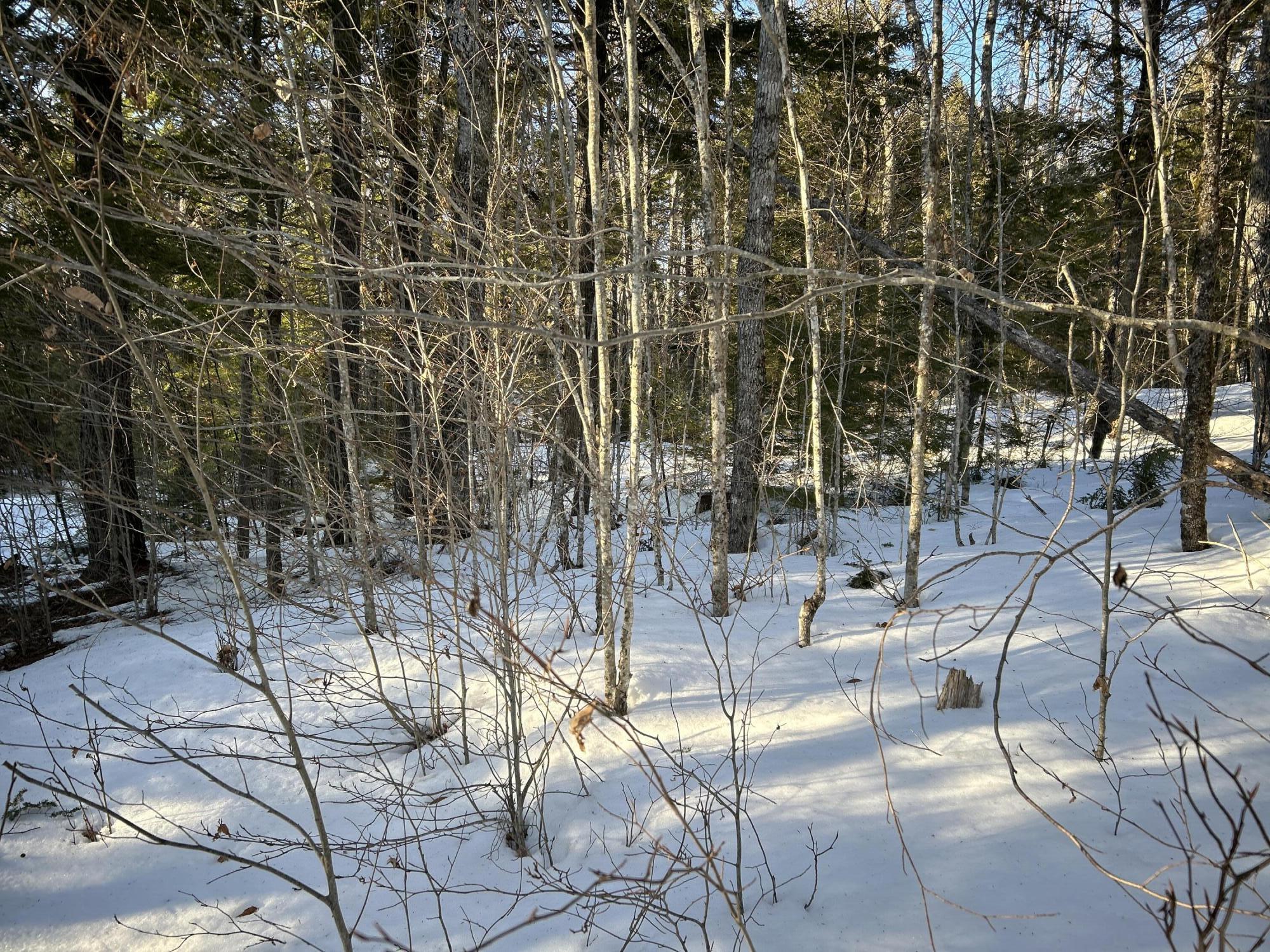 M7L22 Nelson Ridge Road N, Washington, ME, 04574