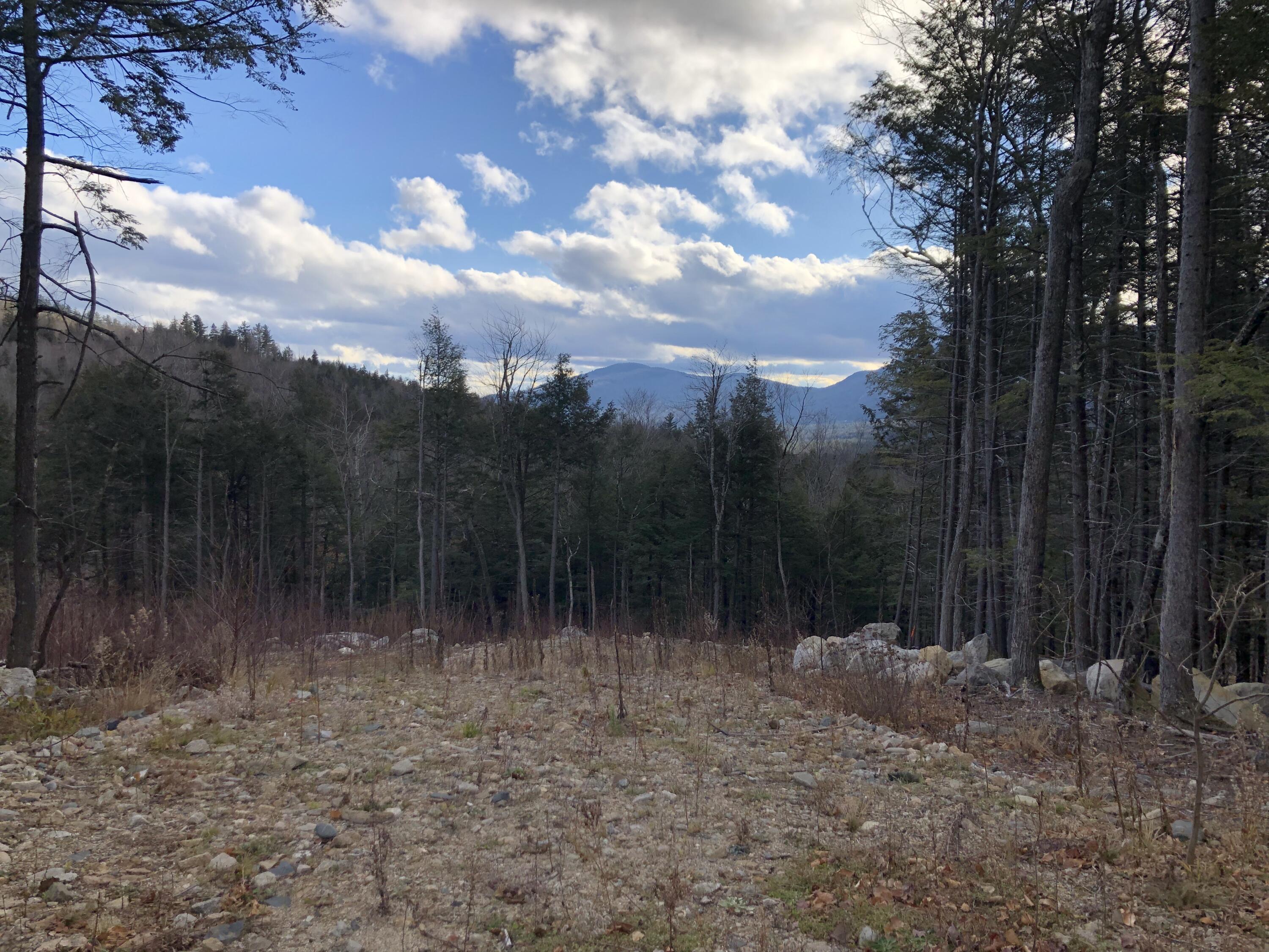 Lot 67 Snowbird Lane, Newry, ME, 04261