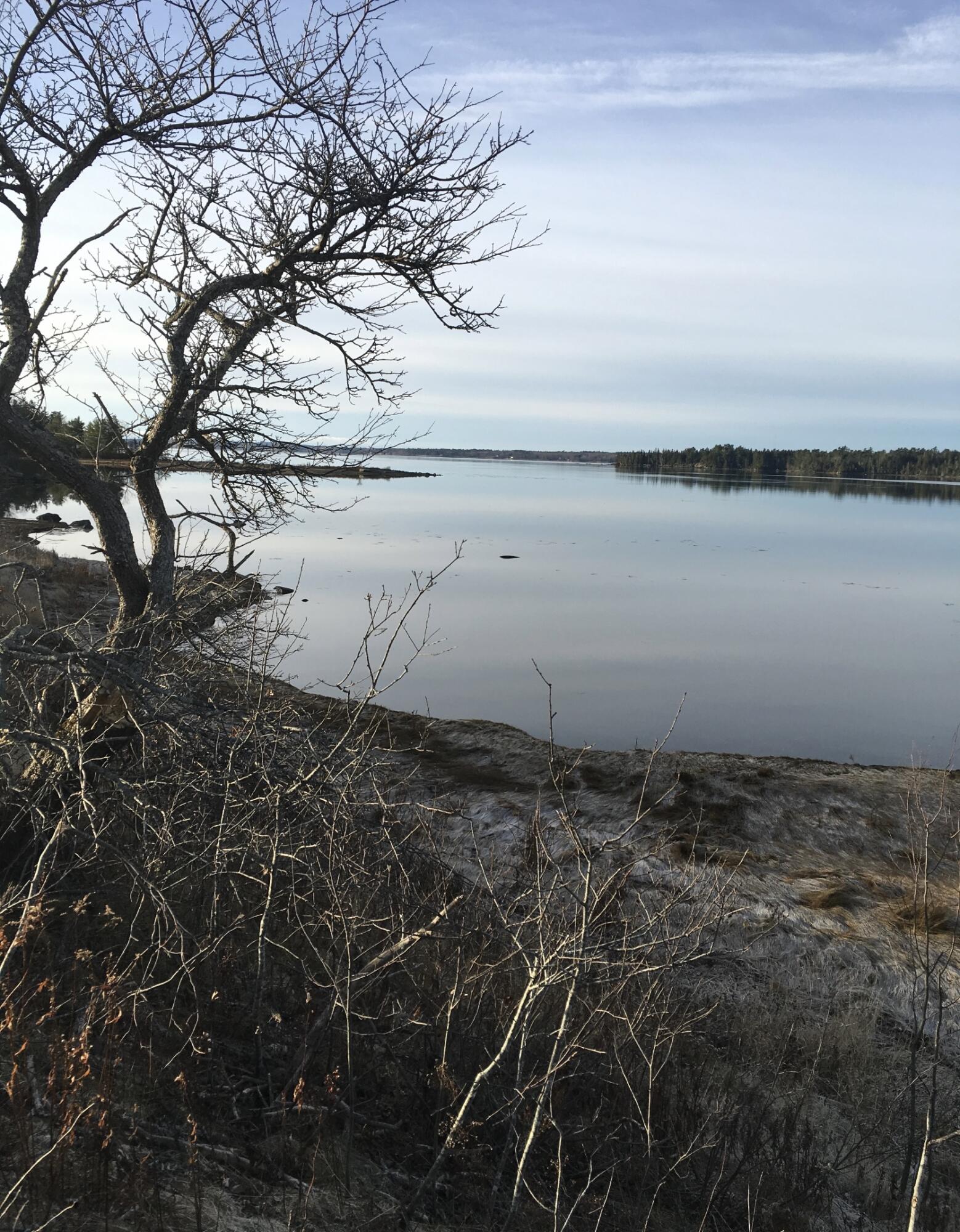 561 Bayside Road, Ellsworth, ME, 04605