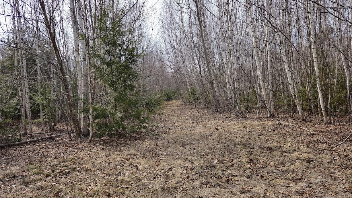 0 Woodland Drive UNIT 11, Carmel, ME, 04419