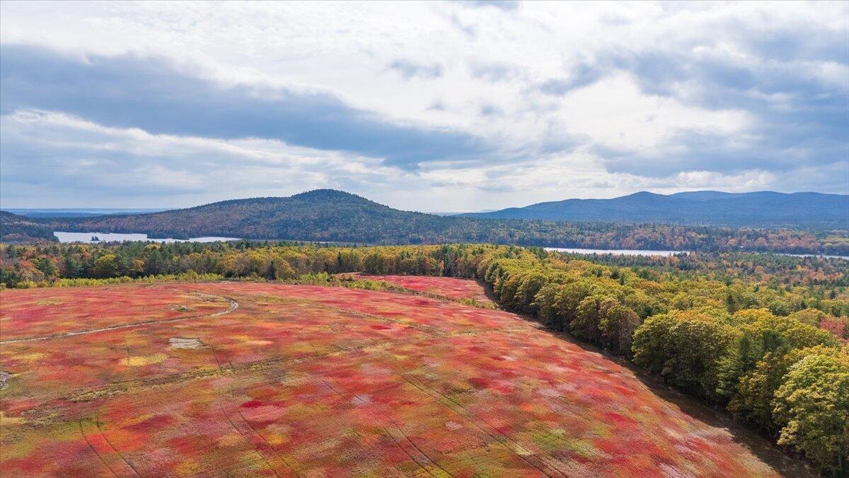 423 Beech Hill Road, Northport, ME, 04849