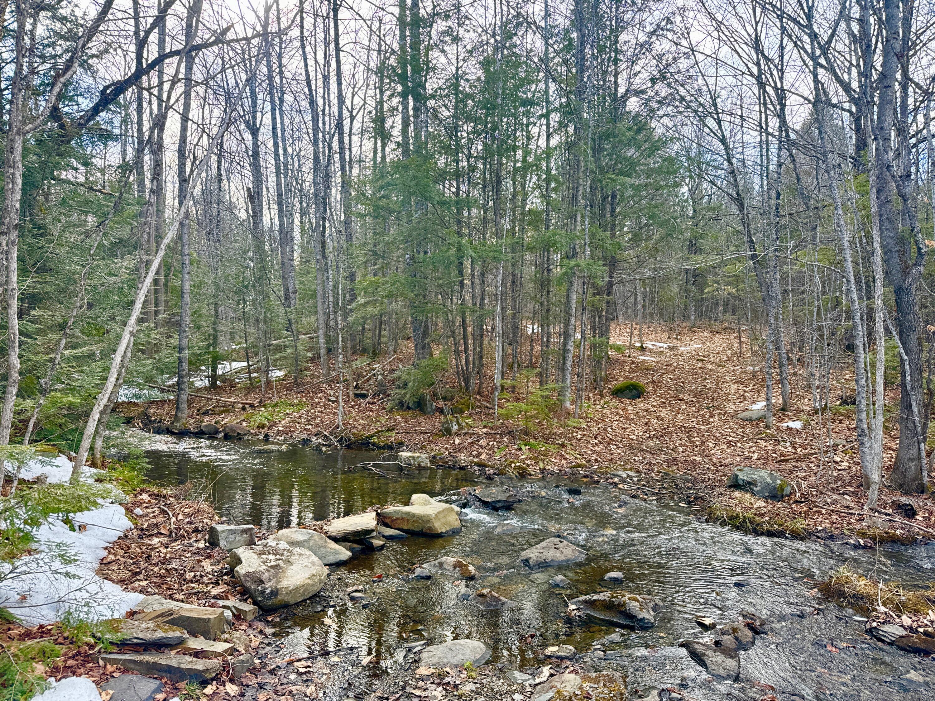 1301 Milo Road, Sebec, ME, 04481