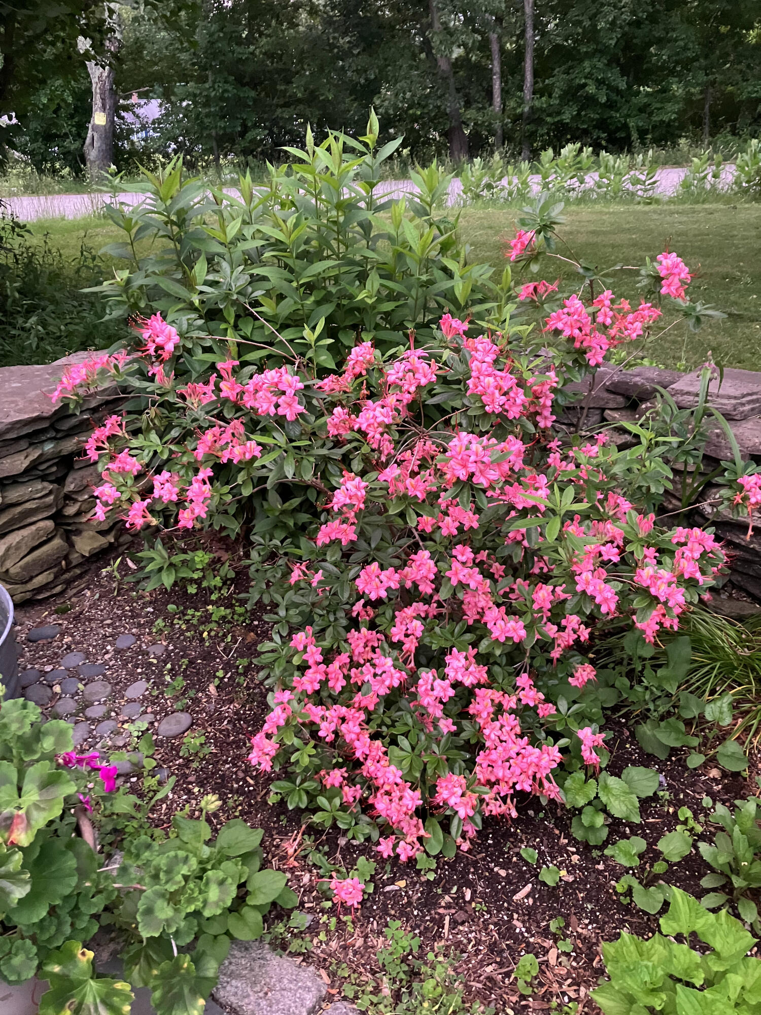 482 Back Road, Shapleigh, ME, 04076