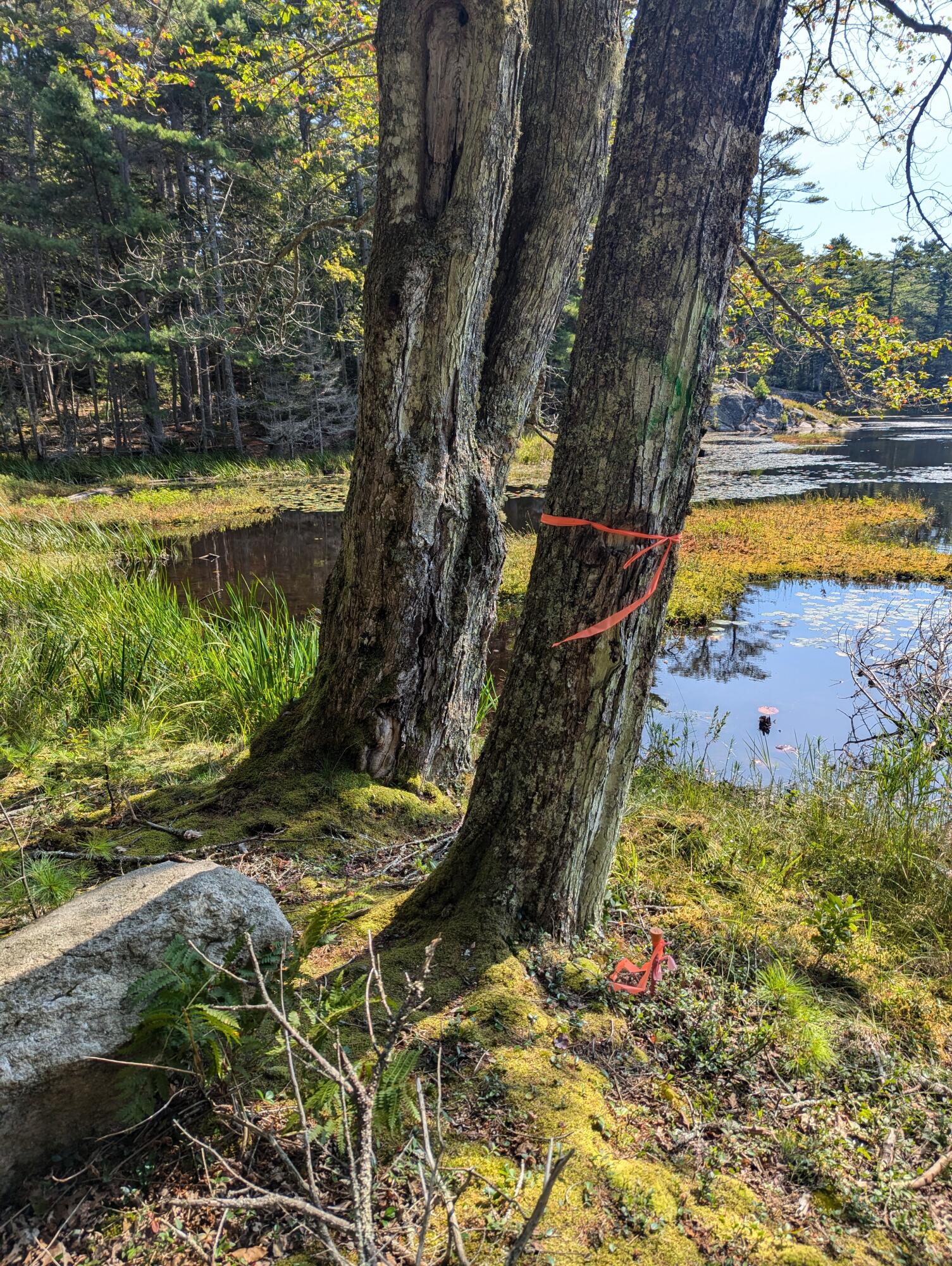 Lot 15 Austin Point Road, Harpswell, ME, 04079