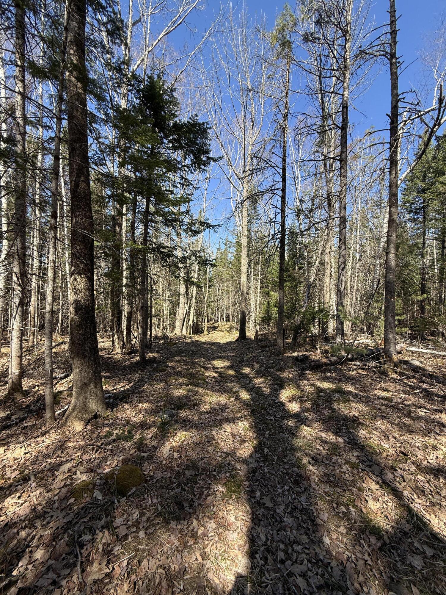 Lot 016-01 142 Old Fisher Rd Road, Holden, ME, 04429