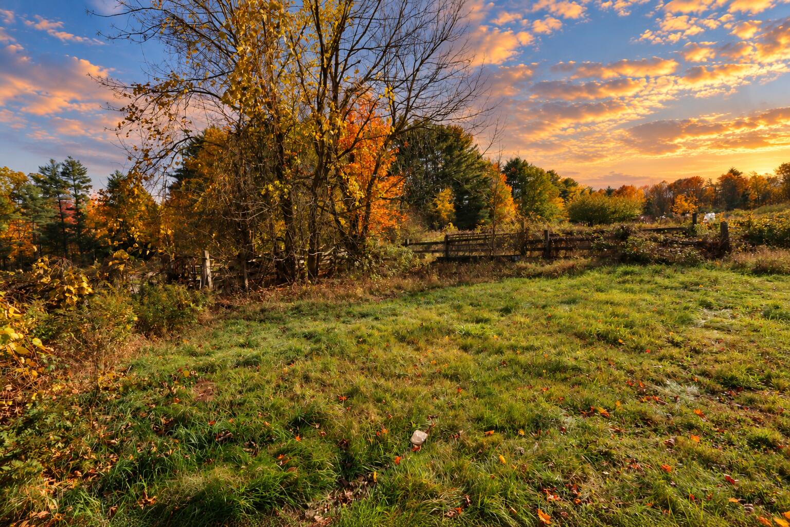 16 Cook Road
