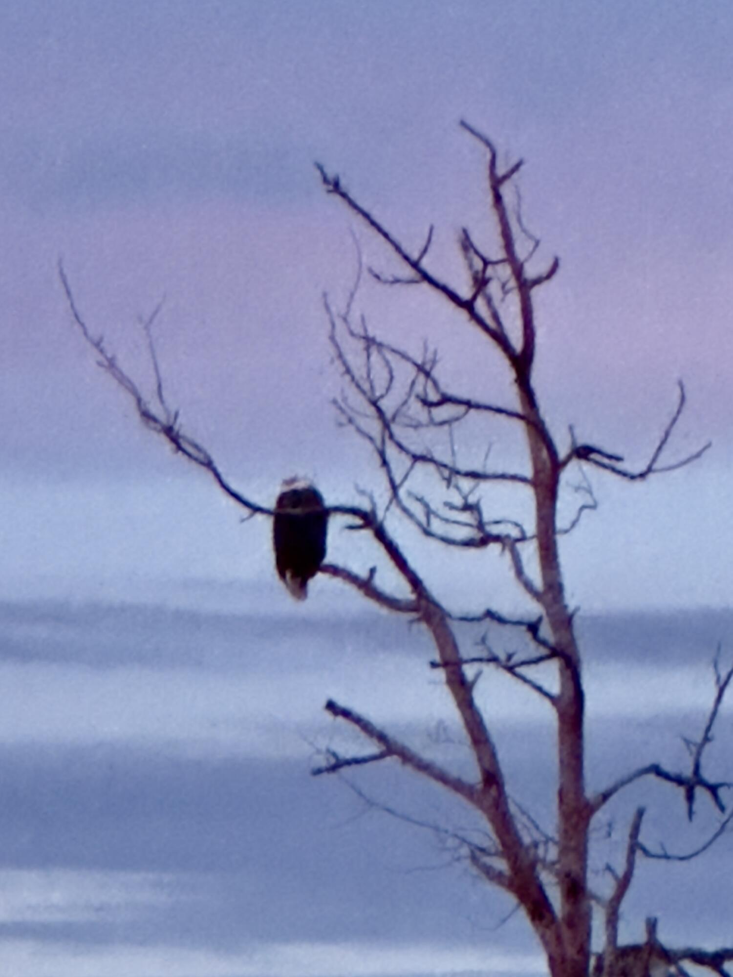 8 Summer Street, Searsport, ME, 04974